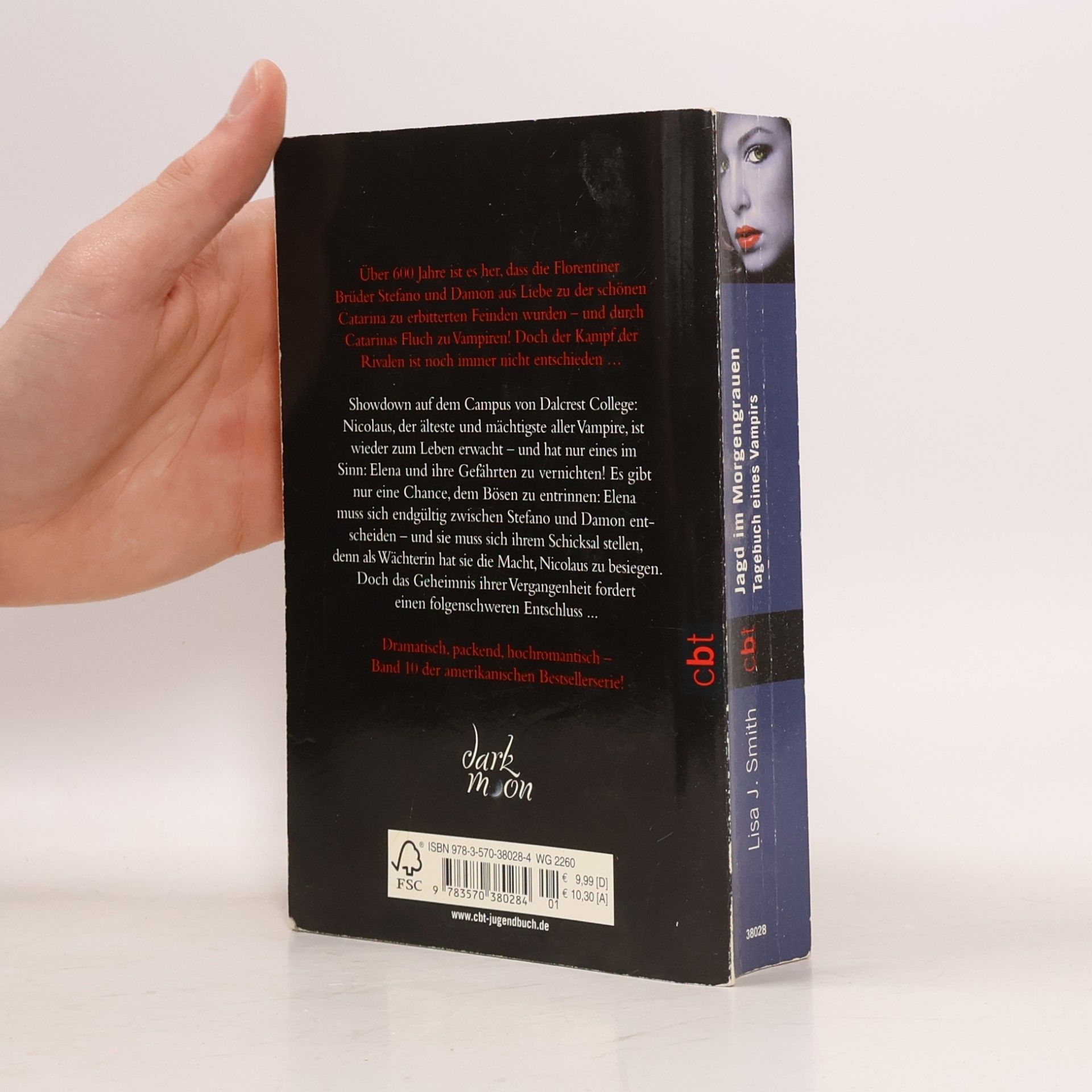 L. J. Smithová Jagd im Morgengrauen. Tagebuch eines Vampirs