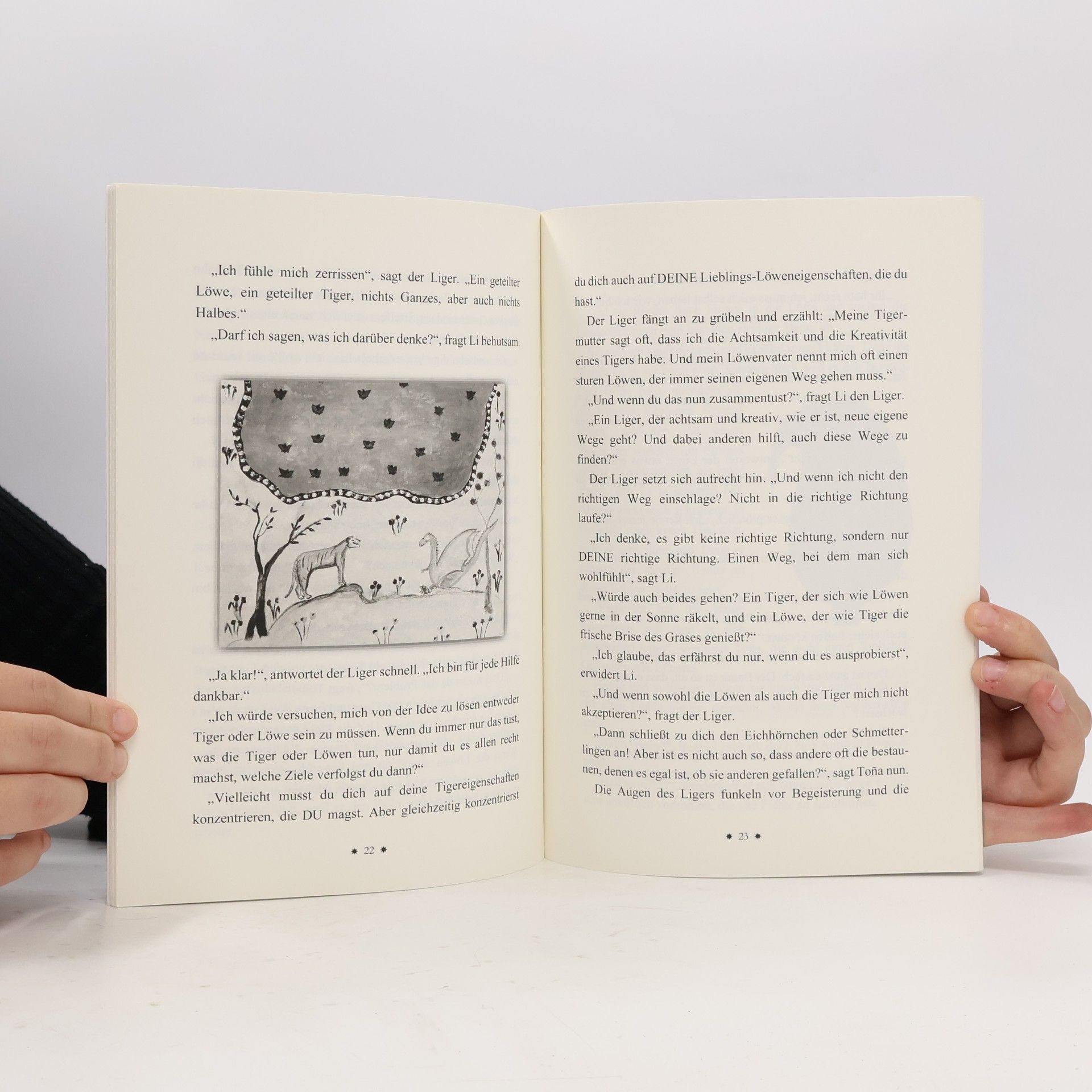 Dorothea Penizek Der kleine Drache Li und die Befreiung