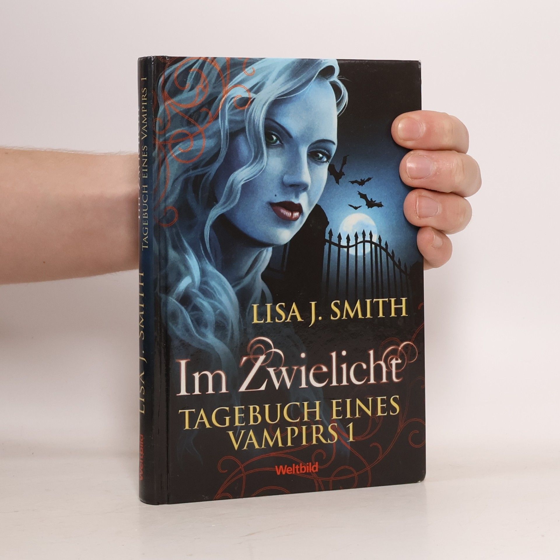 L. J. Smithová  Tagebuch eines Vampirs 1. Im Zwielicht