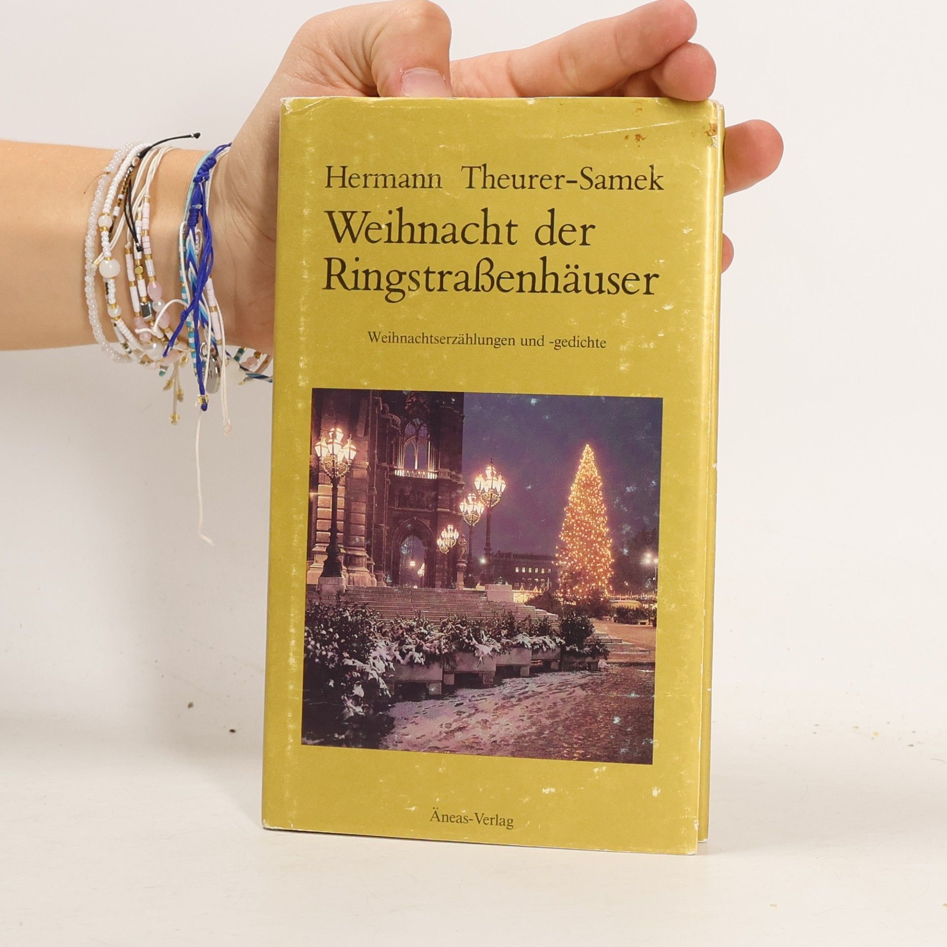 Hermann Theurer-Samek Weihnacht der Ringstrassenhäuser