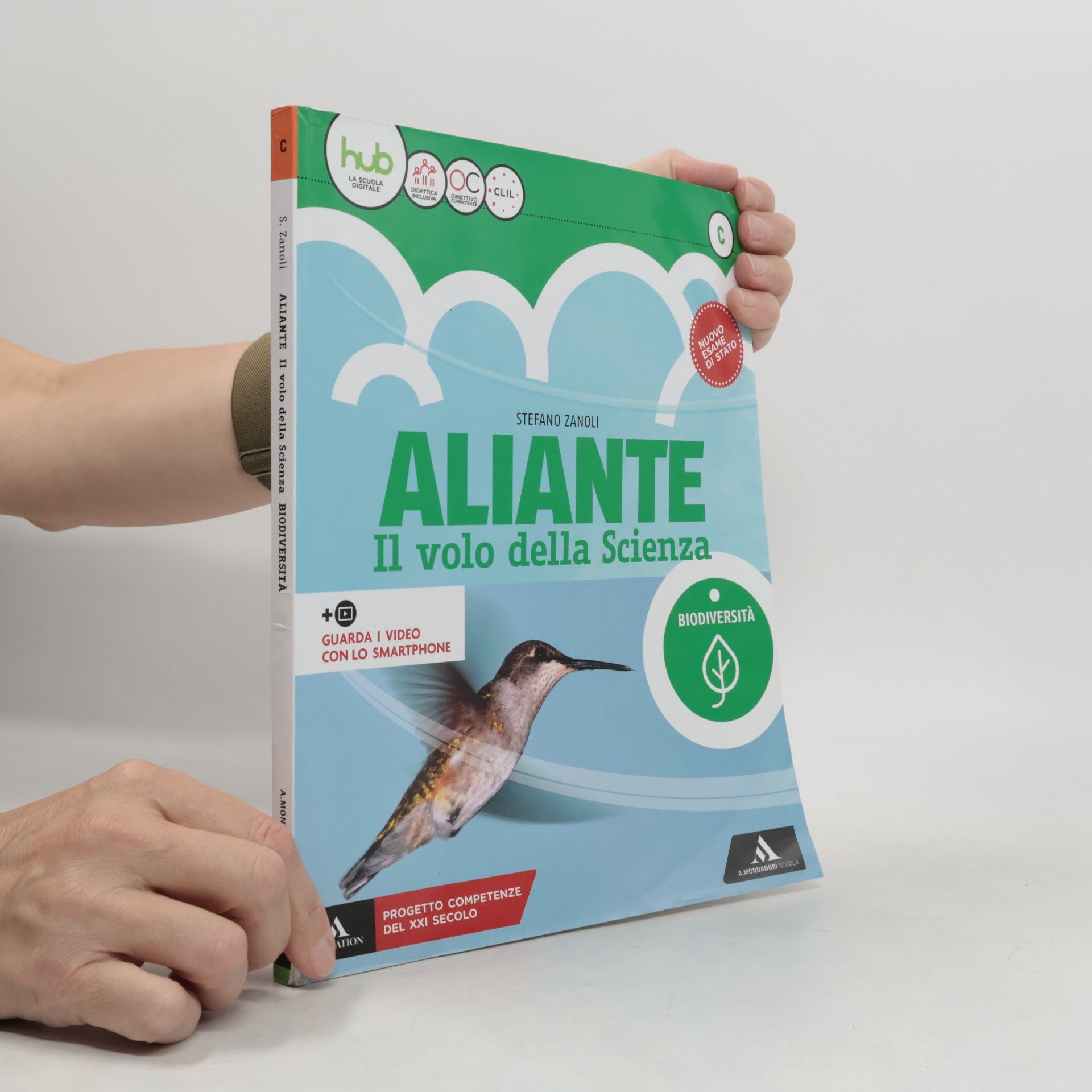 Aliante Il volo della Scienza C