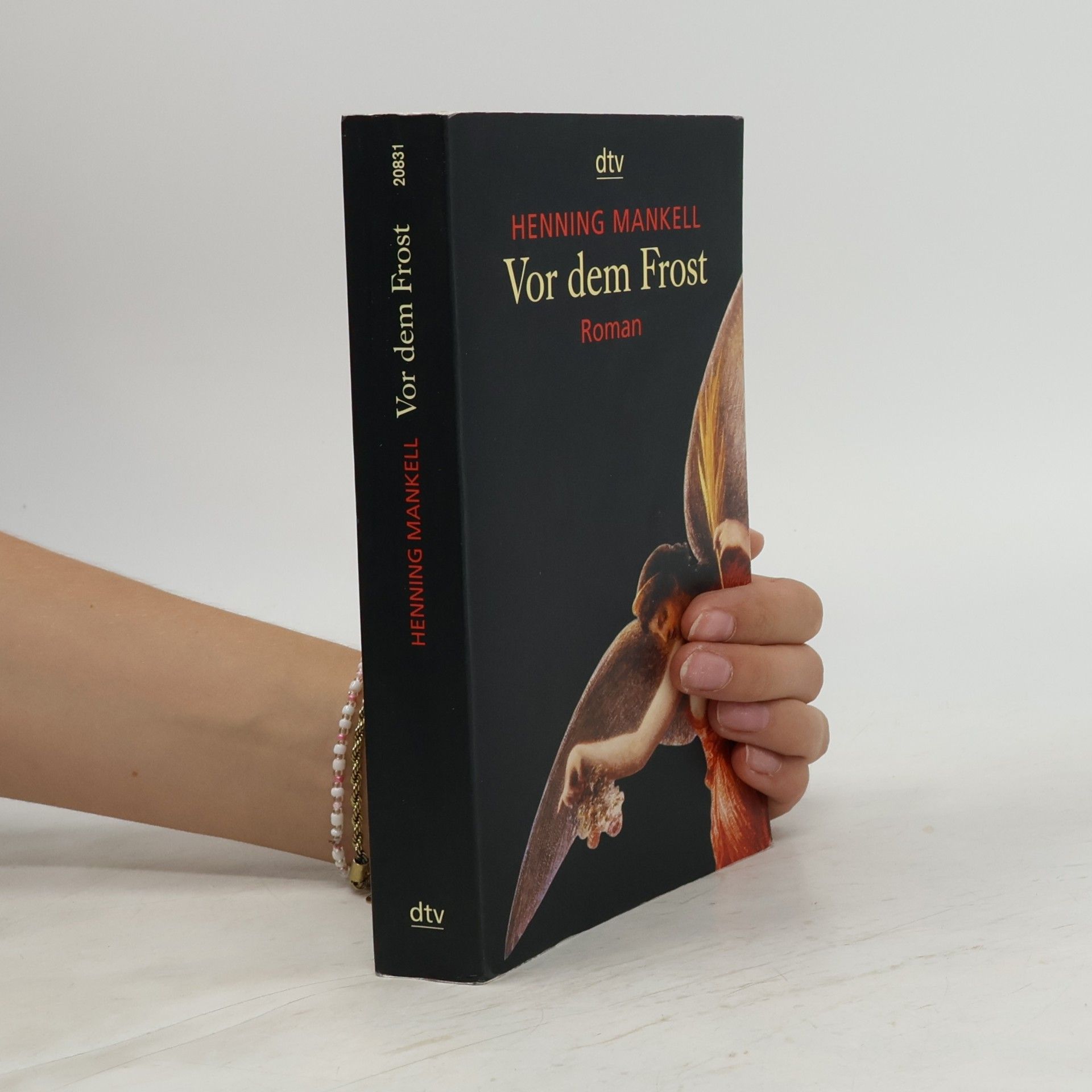 Henning Mankell Vor dem Frost