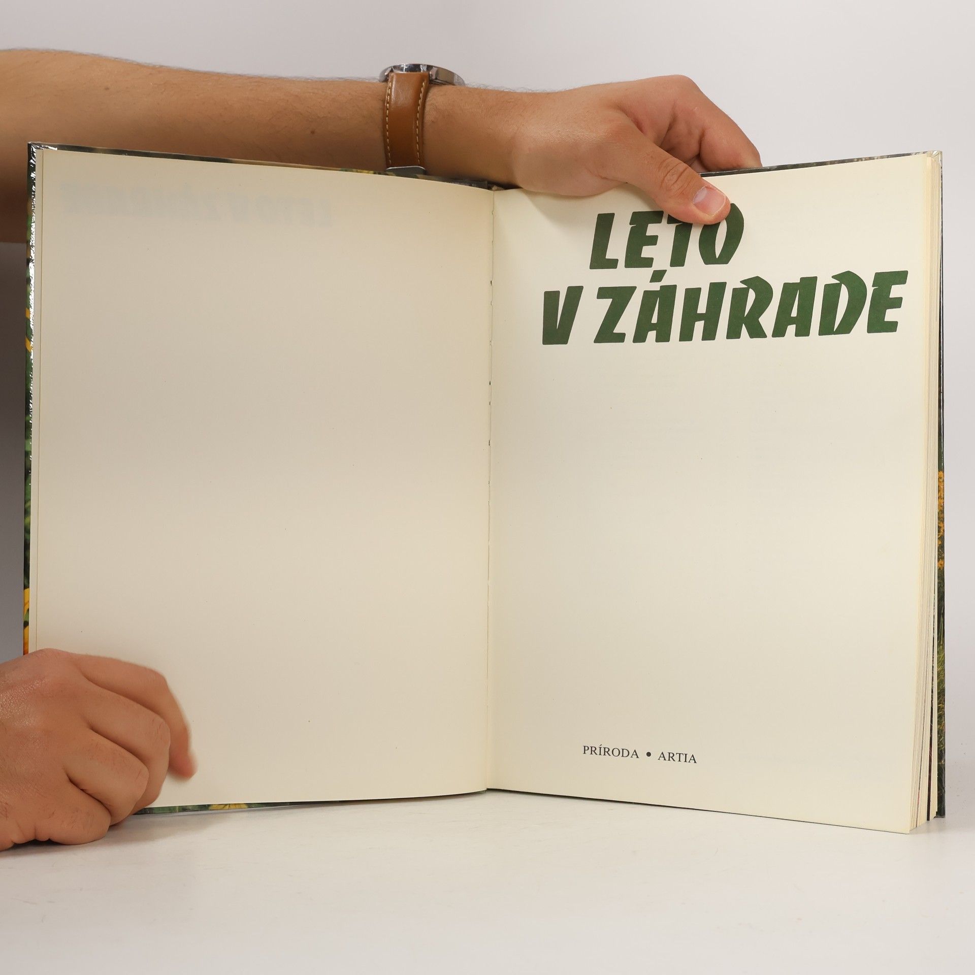 Kolektiv autorů Leto v záhrade