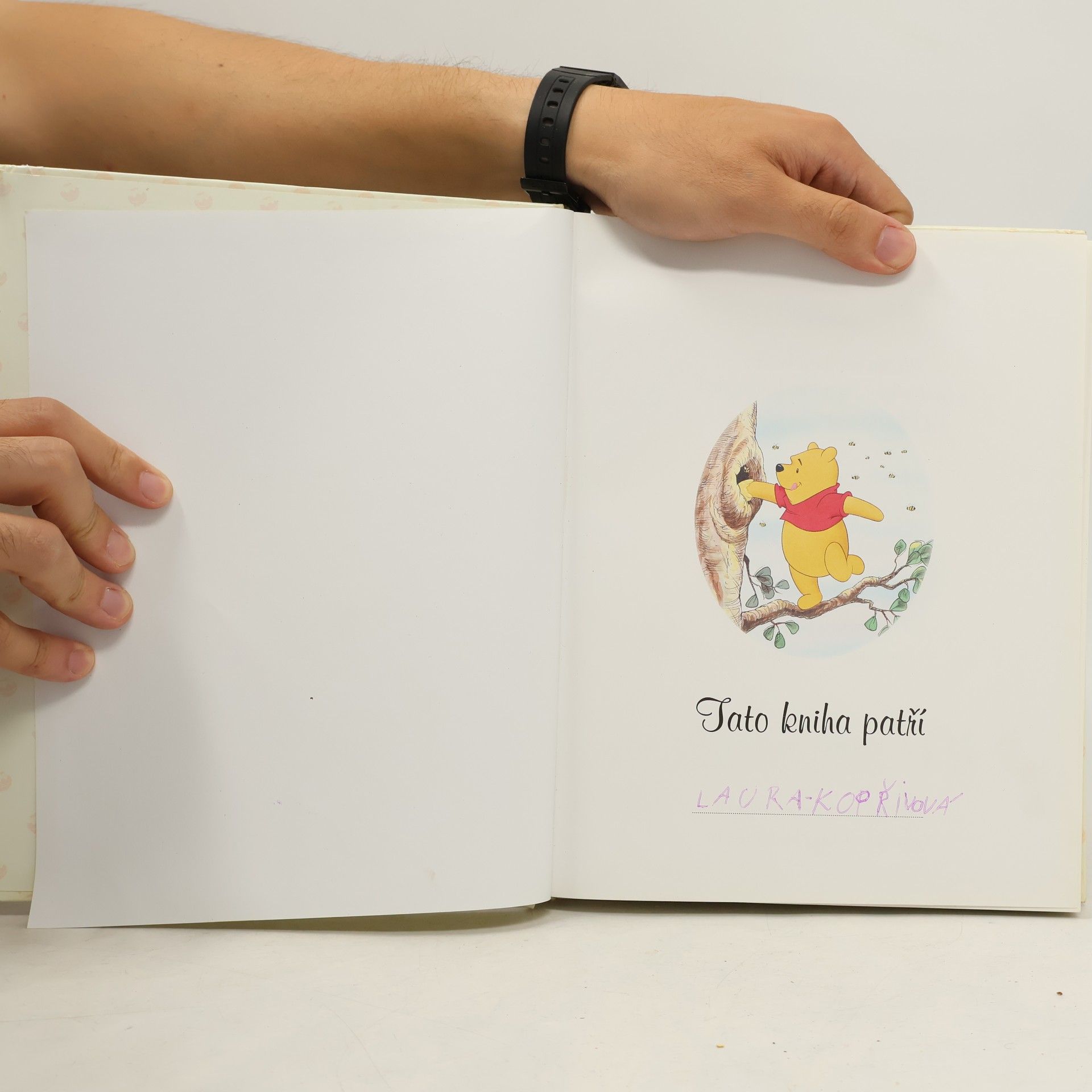 Autorenkollektiv Dobrodružství Medvídka Pú