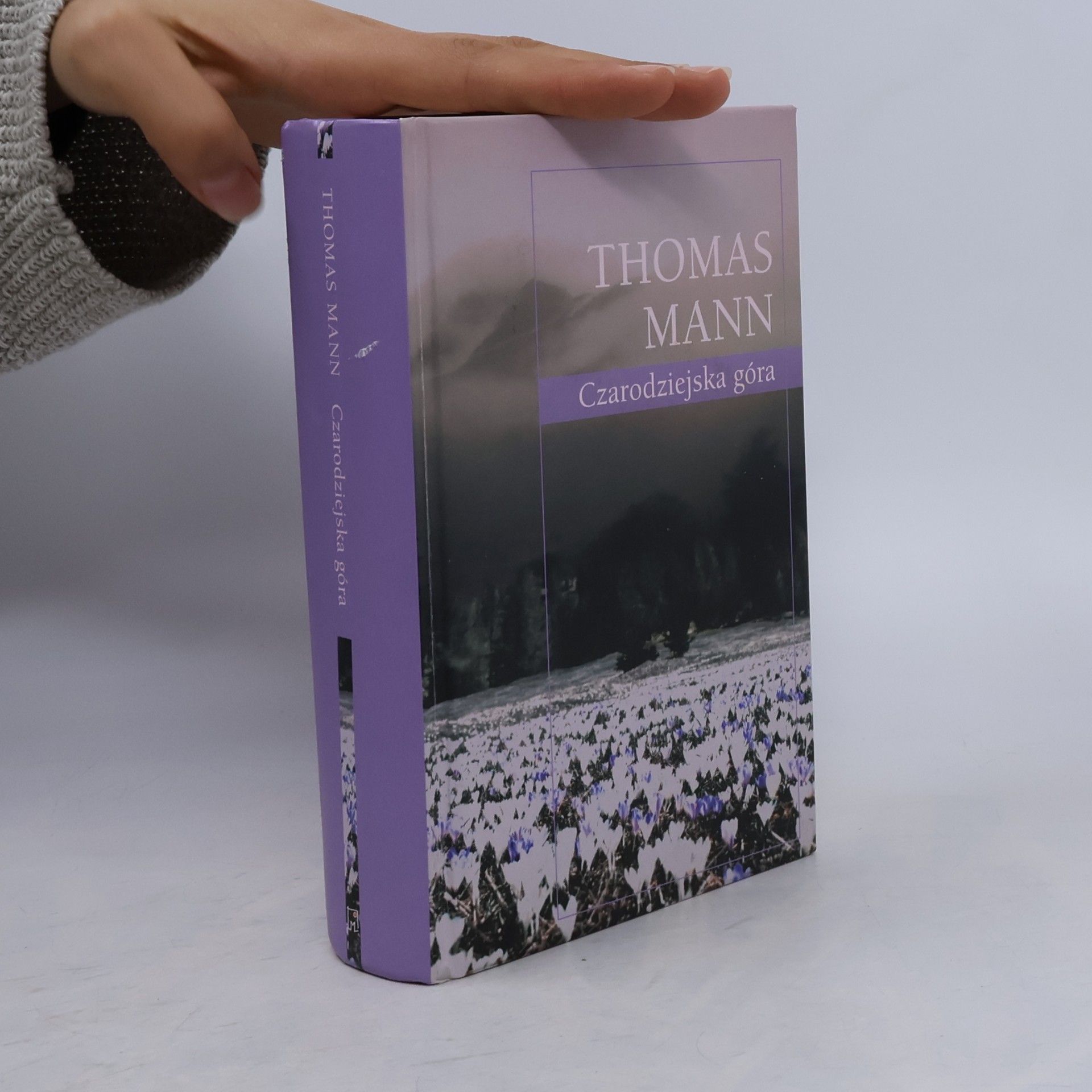 Thomas Mann Czarodziejska góra