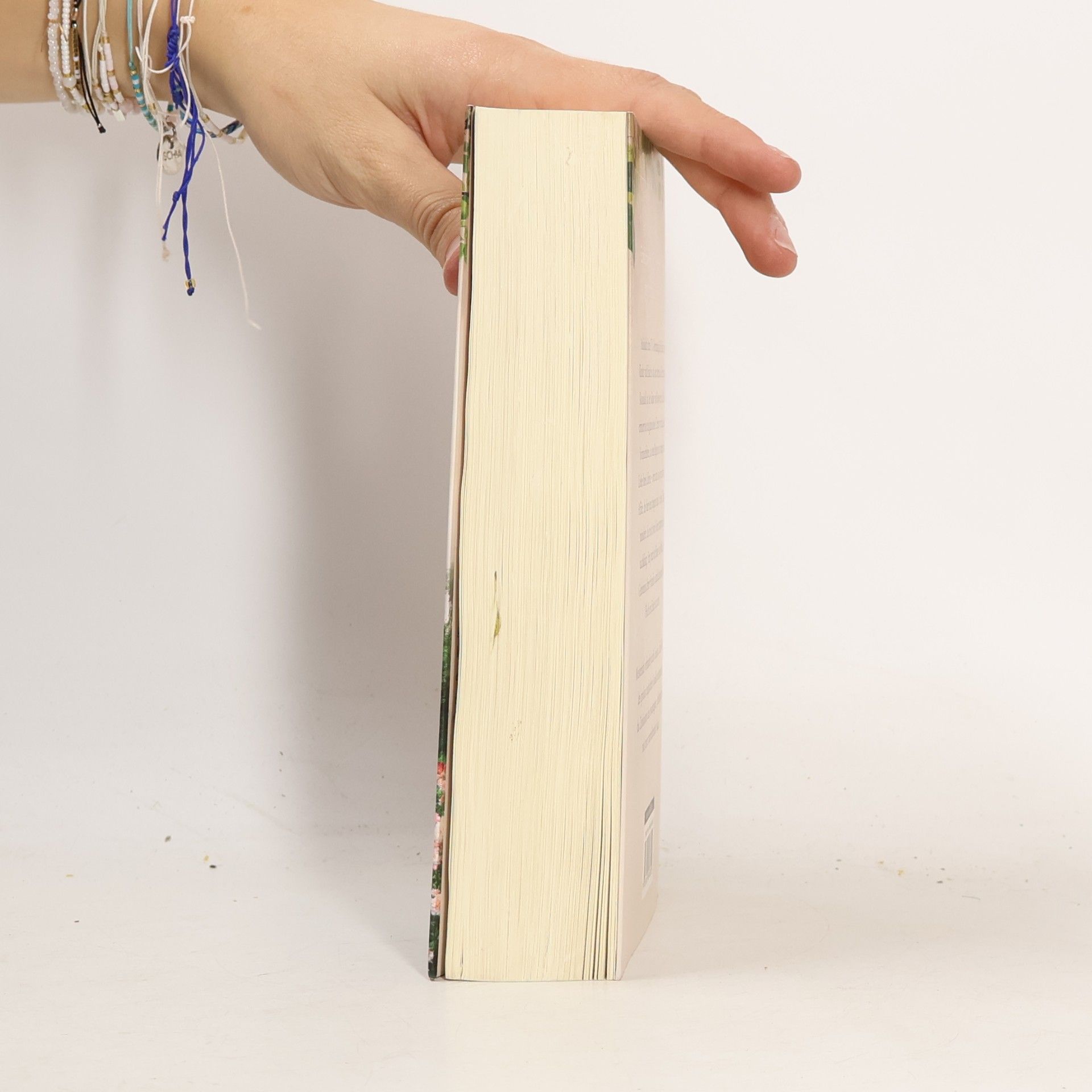 Judith Lennox Ein letzter Tanz