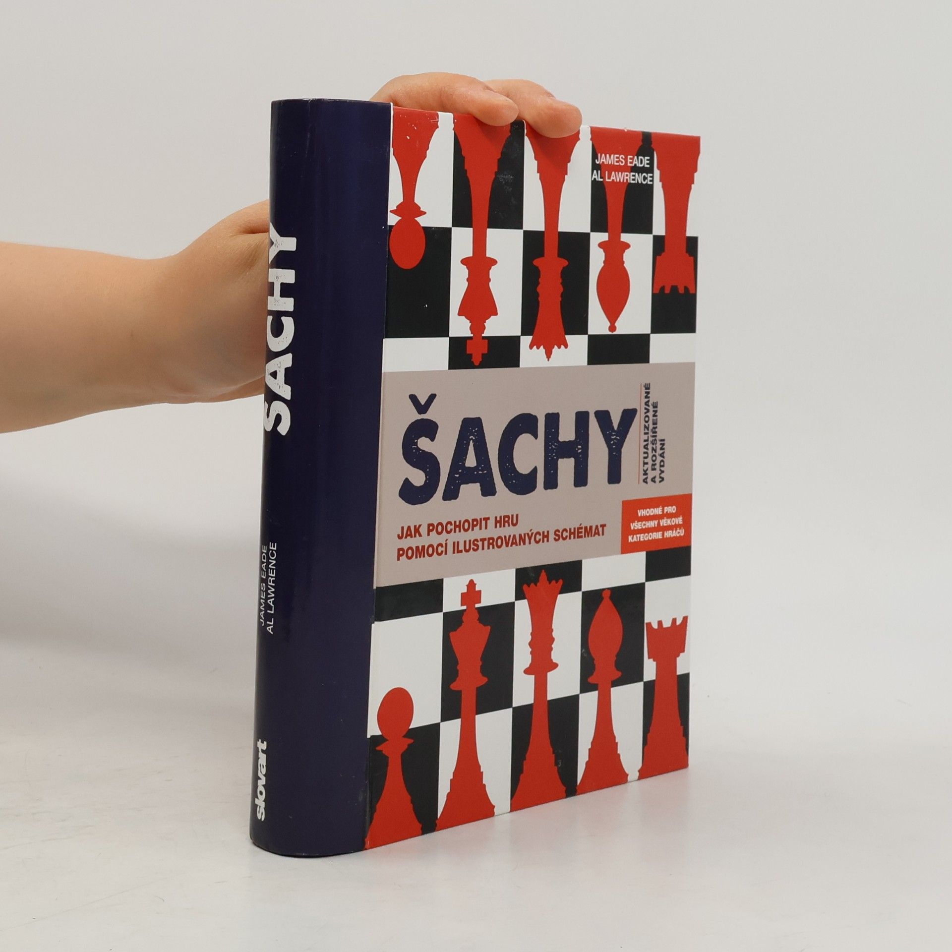 Šachy: Jak pochopit hru pomocí ilustrovaných schémat