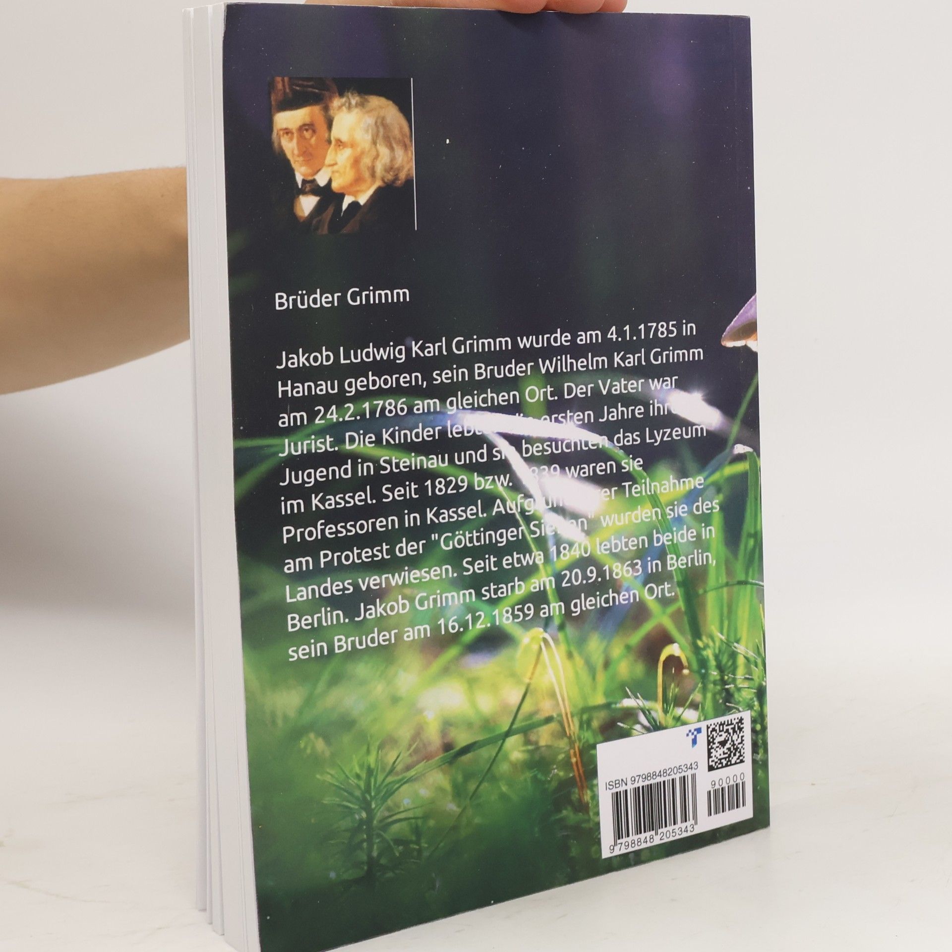 Boris Bücherwurm Irische Elfenmärchen: von den Brüdern Grimm