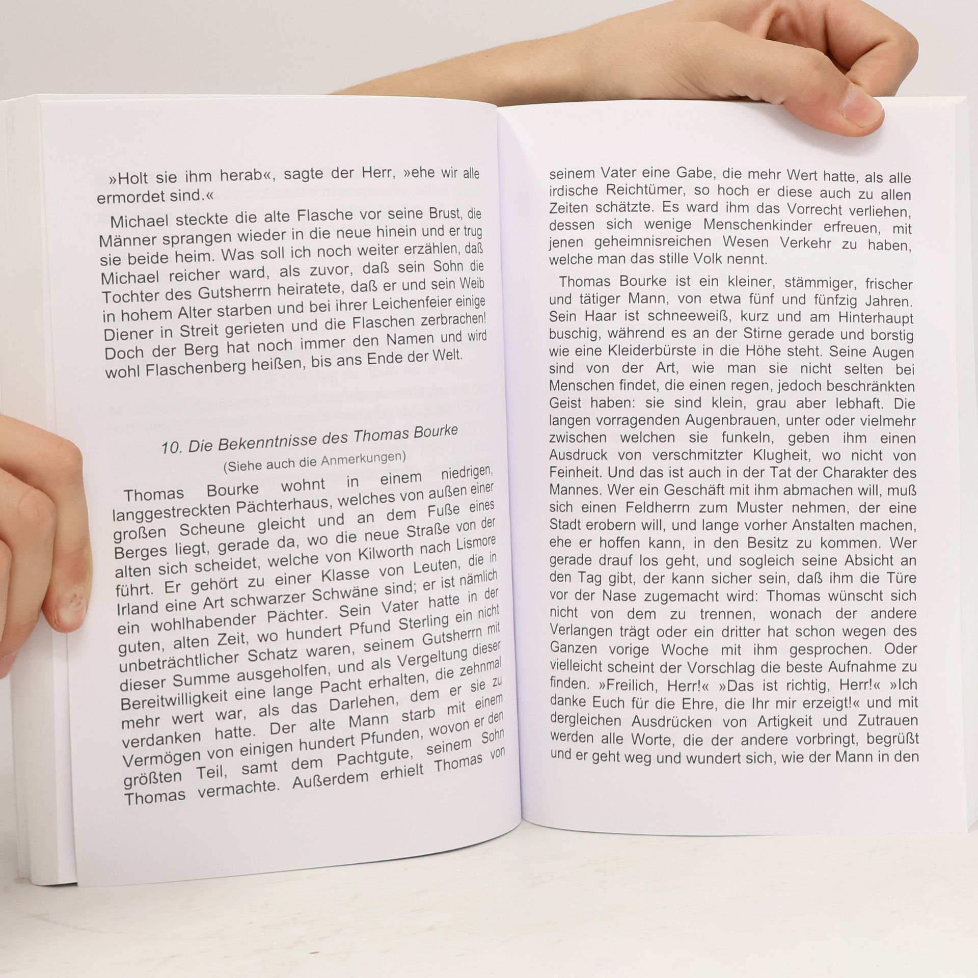 Boris Bücherwurm Irische Elfenmärchen: von den Brüdern Grimm