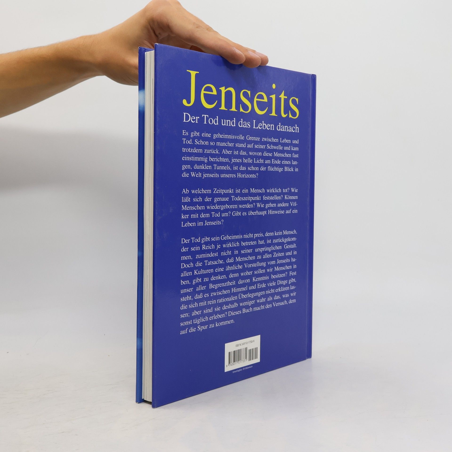 Brian Innes Jenseits. Der Tod und das Leben danach
