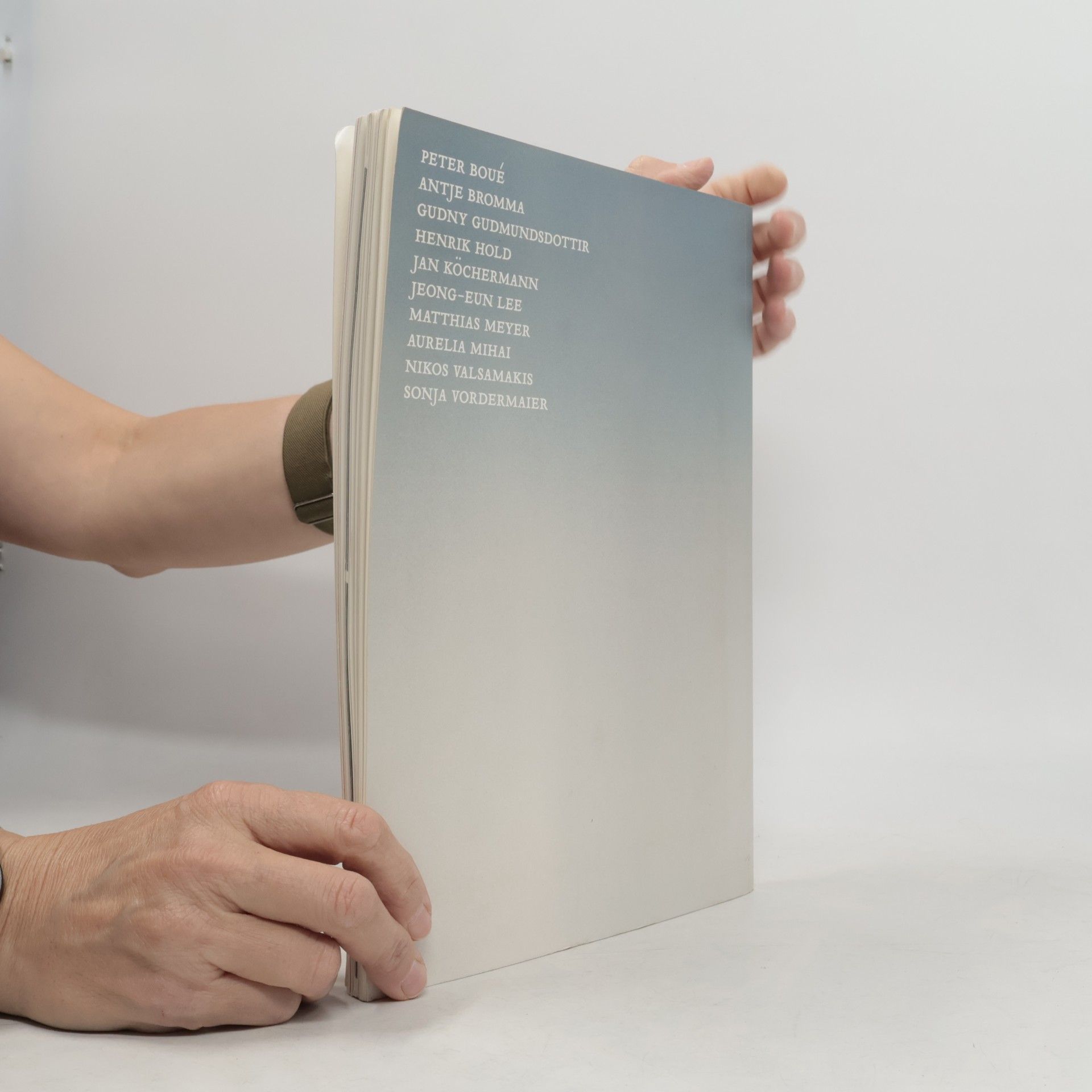 Antje Bromma 25. Arbeitsstipendium für Bildende Kunst