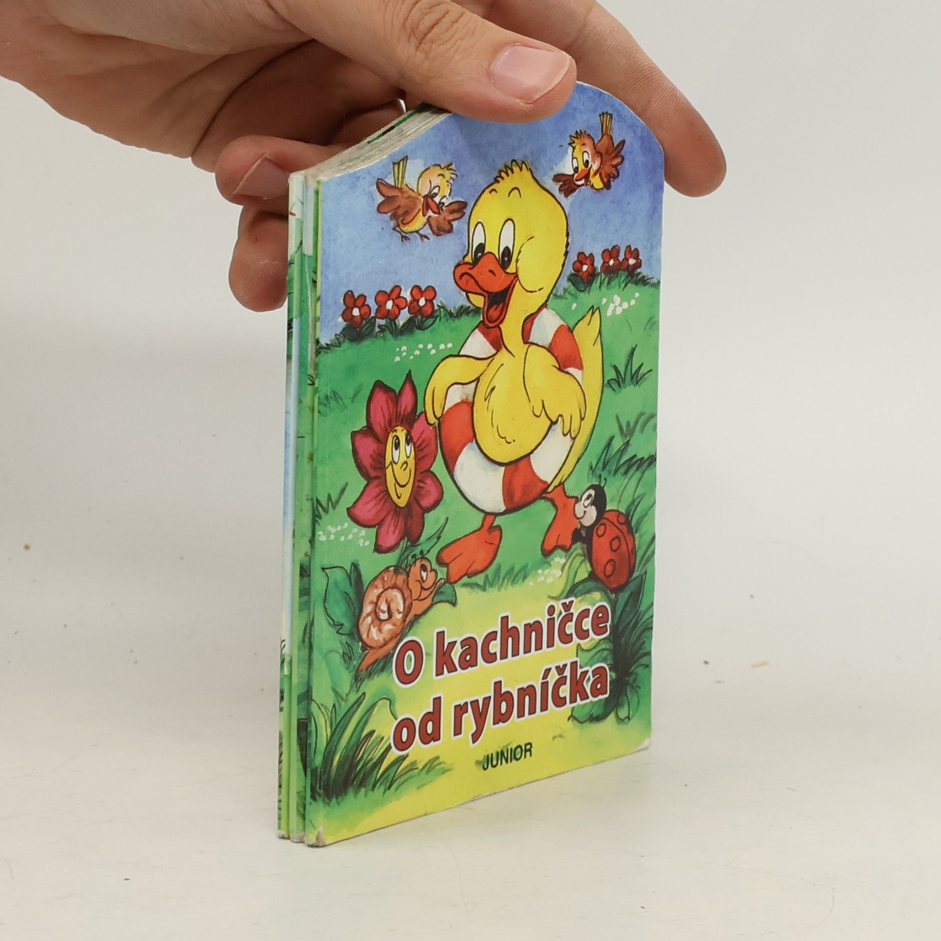 Zuzana Pospíšilová O kachničce od rybníčka