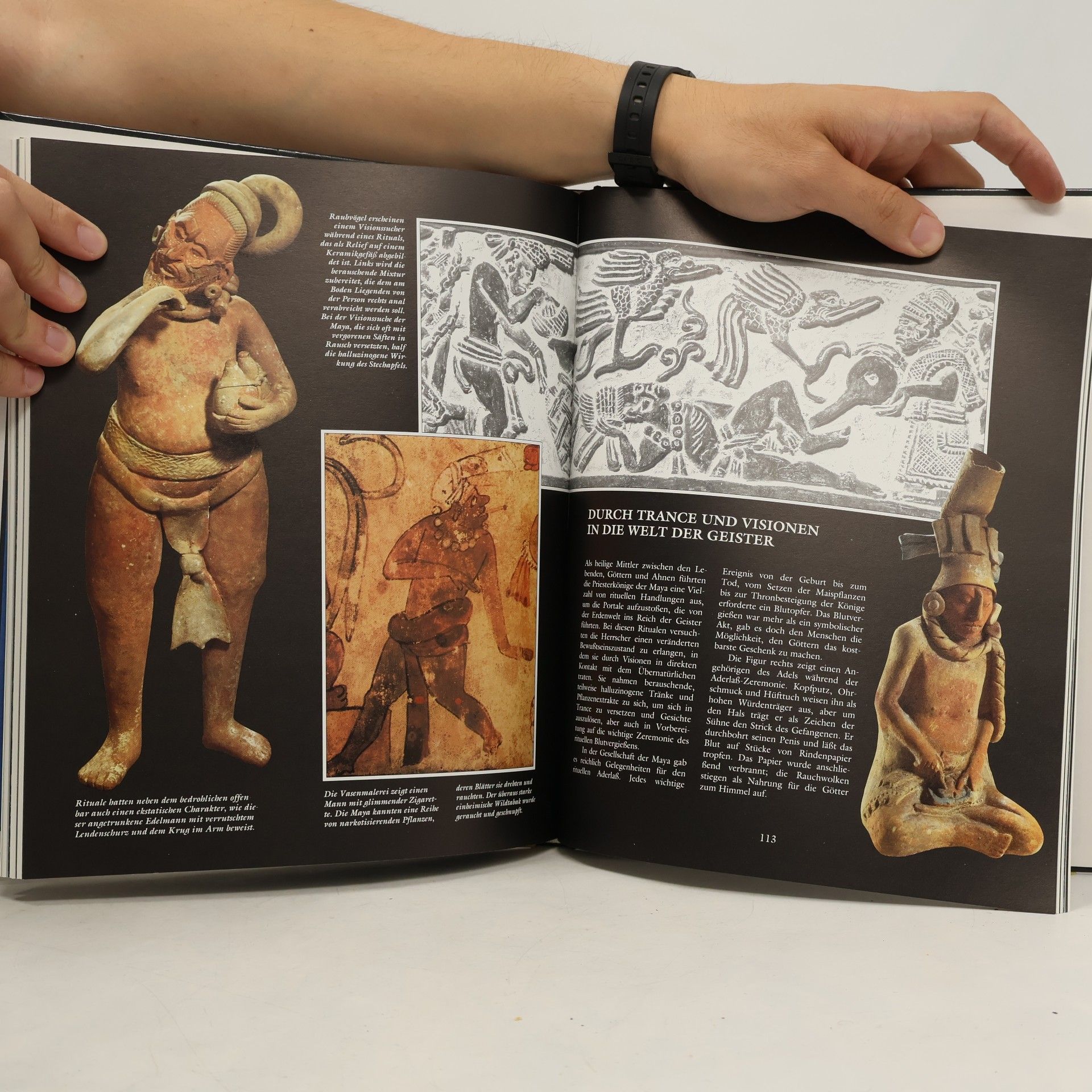 Marianne Tölle Die verlorene Welt der Maya