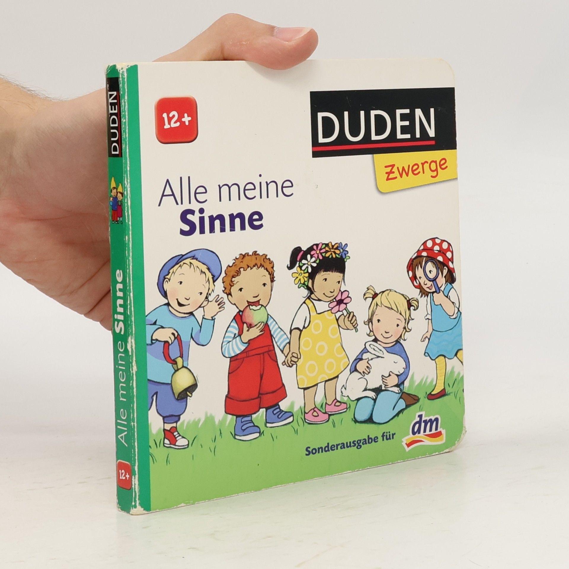Autorenkollektiv Alle meine Sinne