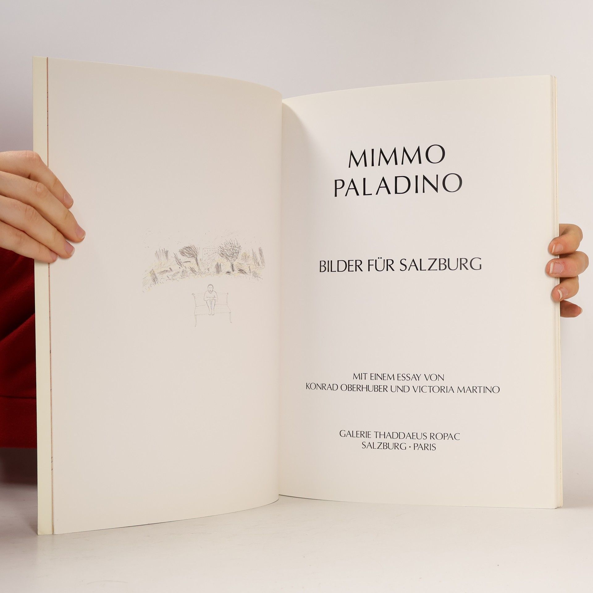 Mimmo Paladino Mimmo Paladino