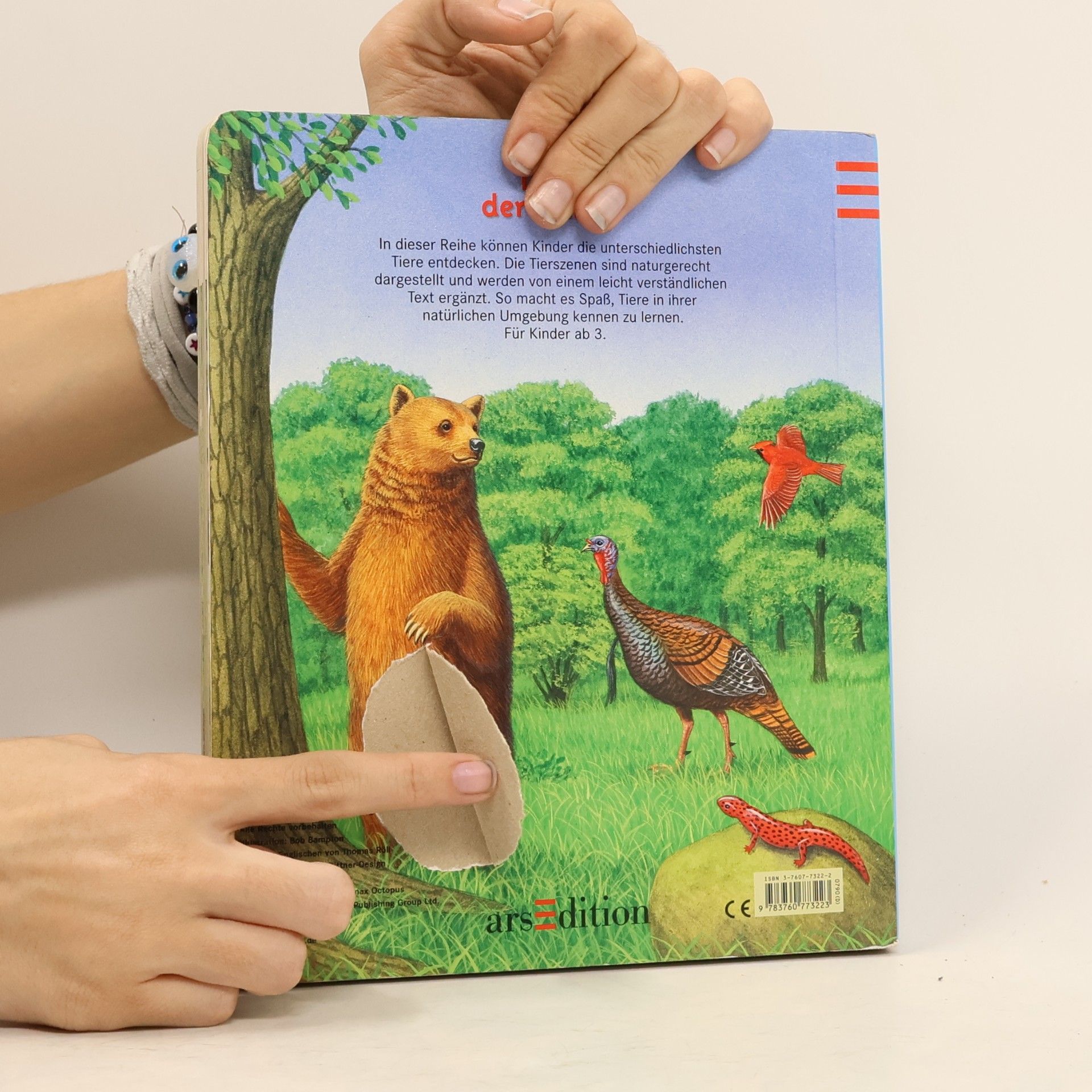 Bob Bampton Tiere der Wälder