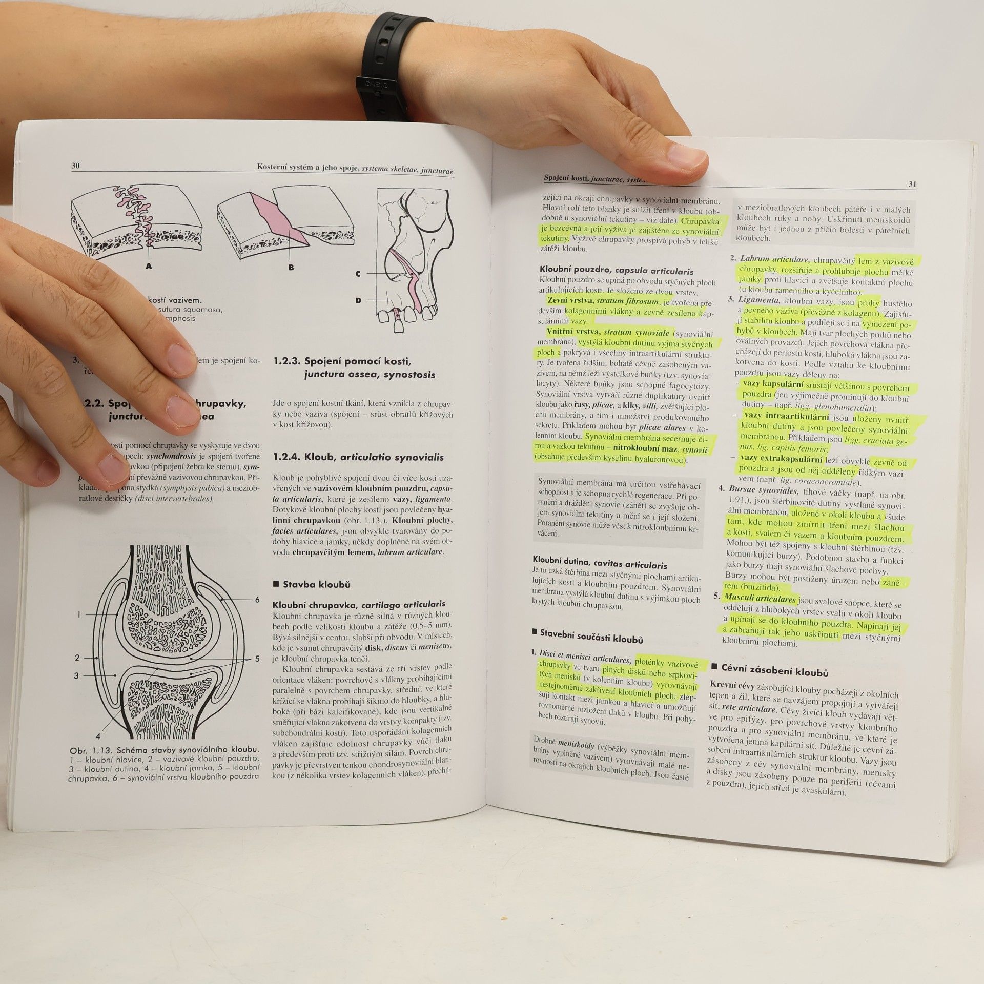 Miloš Grim Základy anatomie 1. Obecná anatomie a pohybový systém