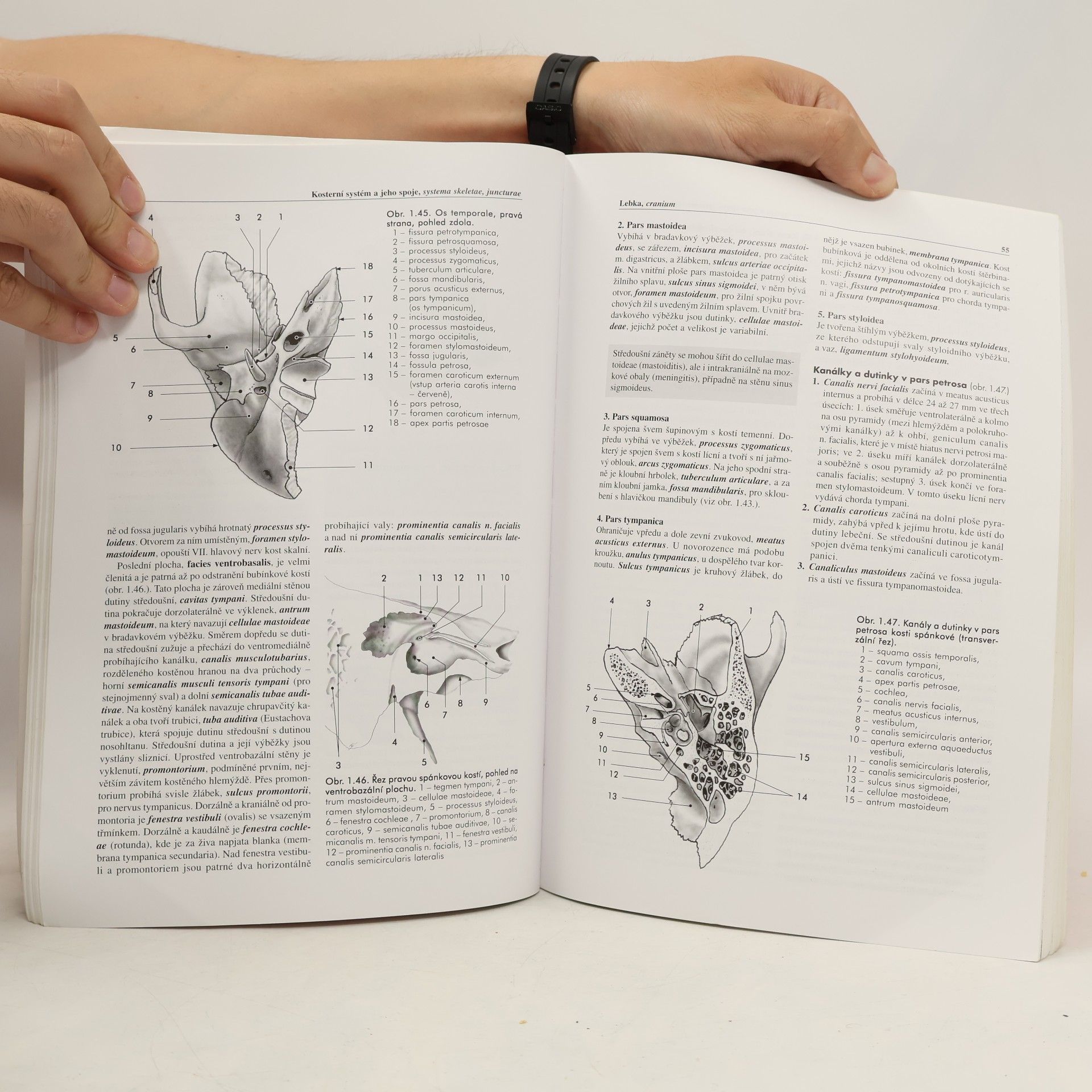Miloš Grim Základy anatomie 1. Obecná anatomie a pohybový systém