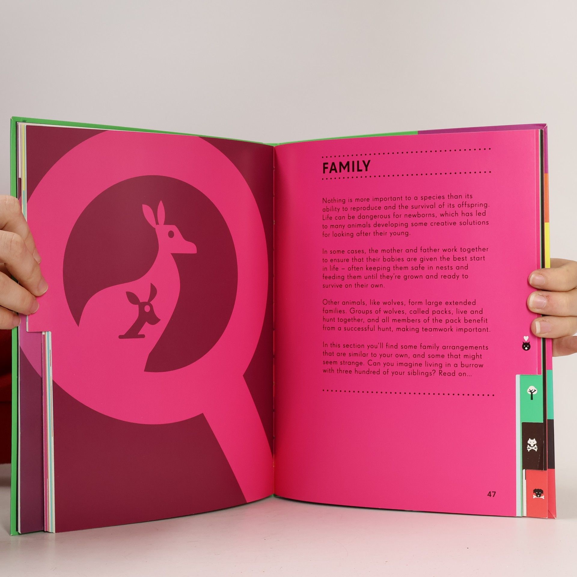 Nicholas Blechman Infographics: Animal Kingdom