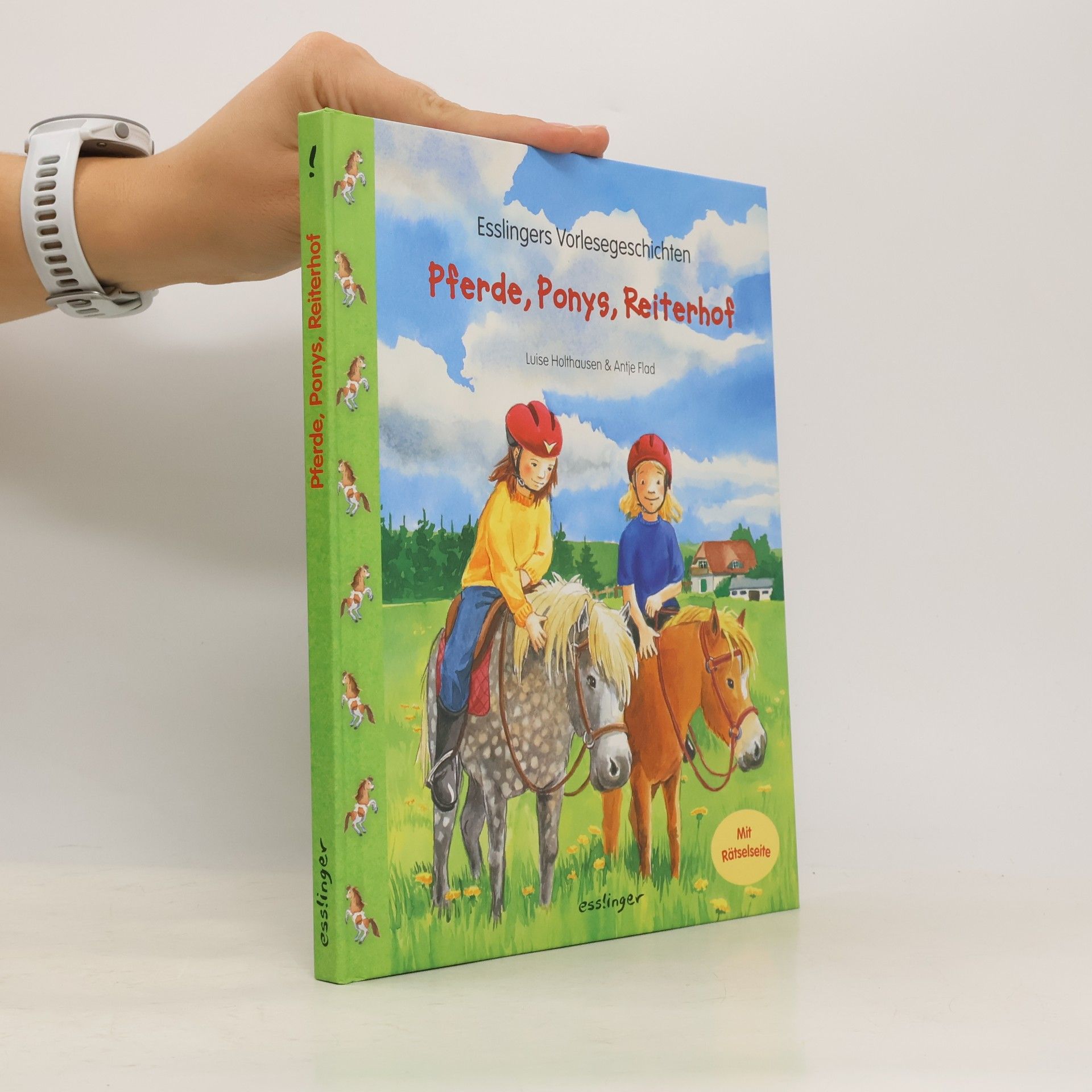 Luise Holthausen Pferde, Ponys, Reiterhof
