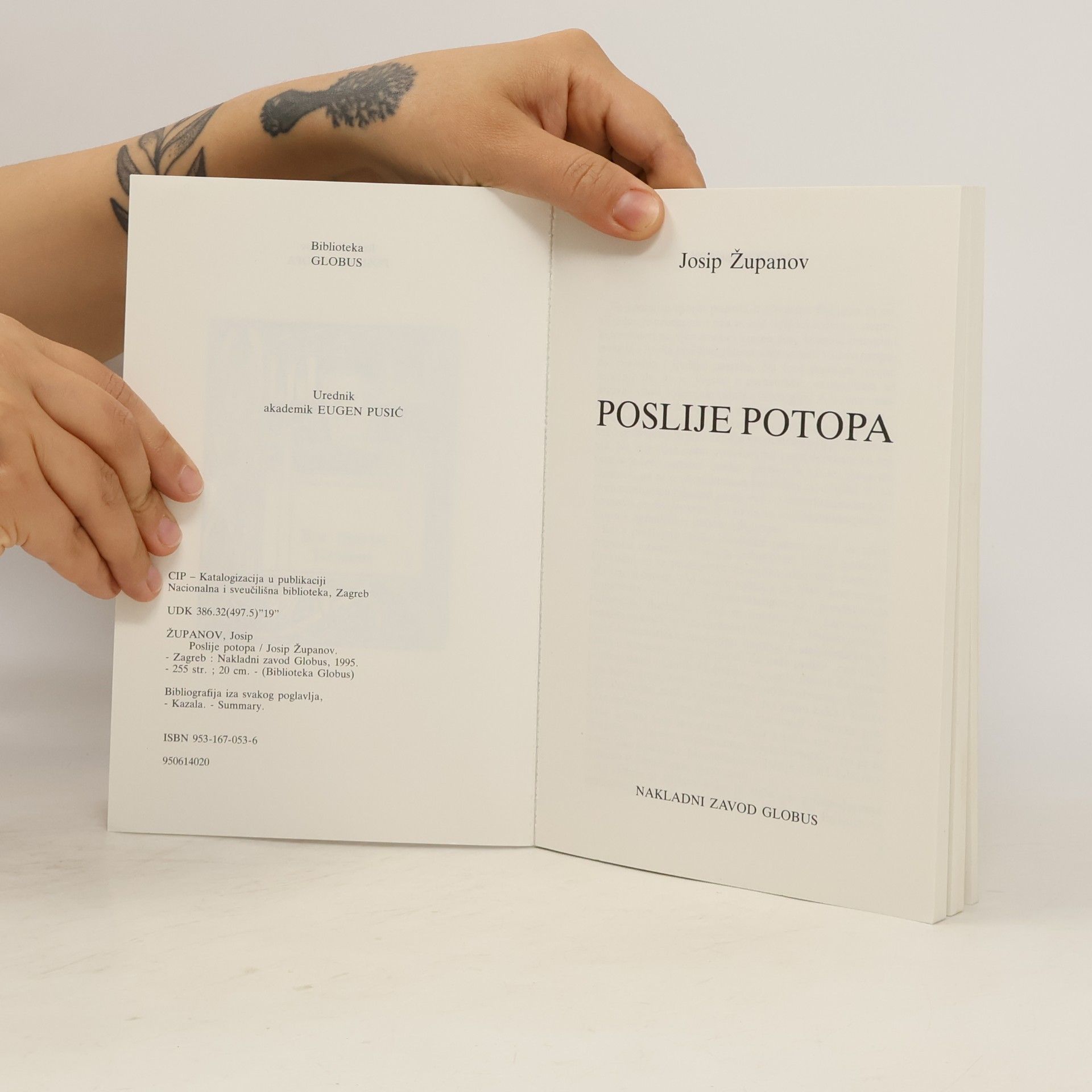 Josip Županov Poslije potopa