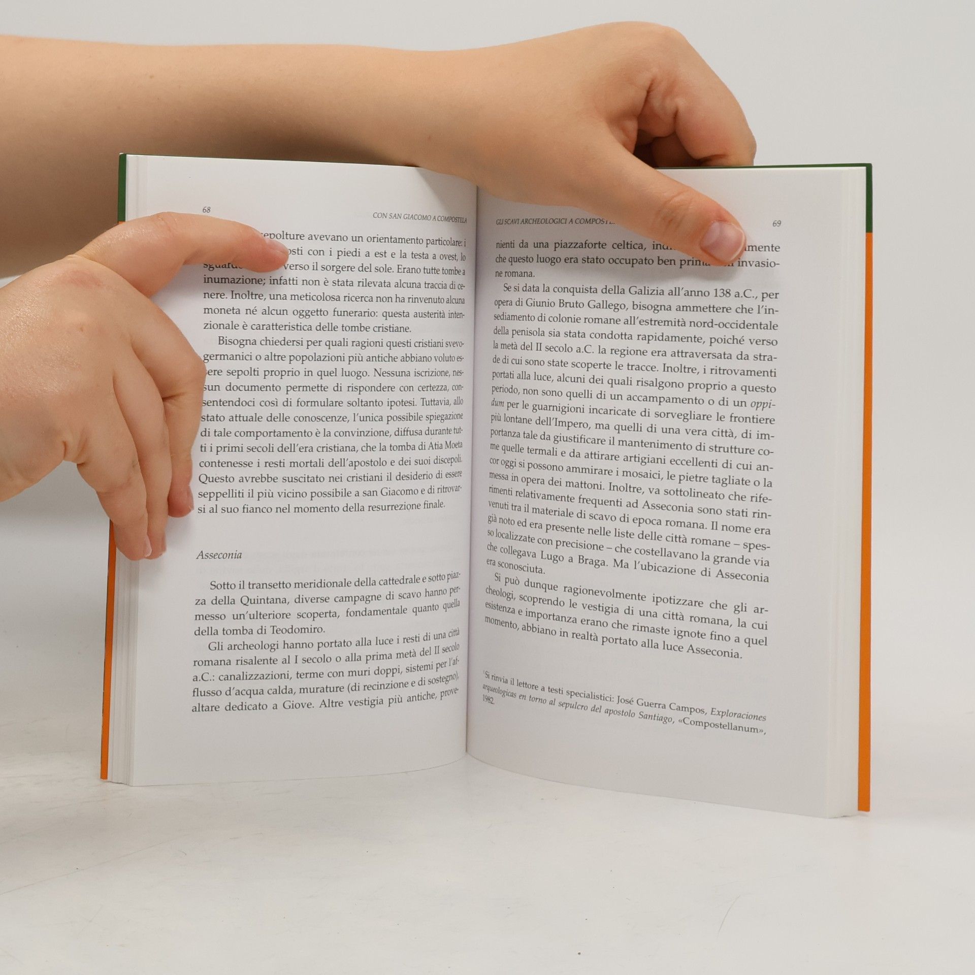 Georges Berson I pellicani: Con San Giacomo a Compostela