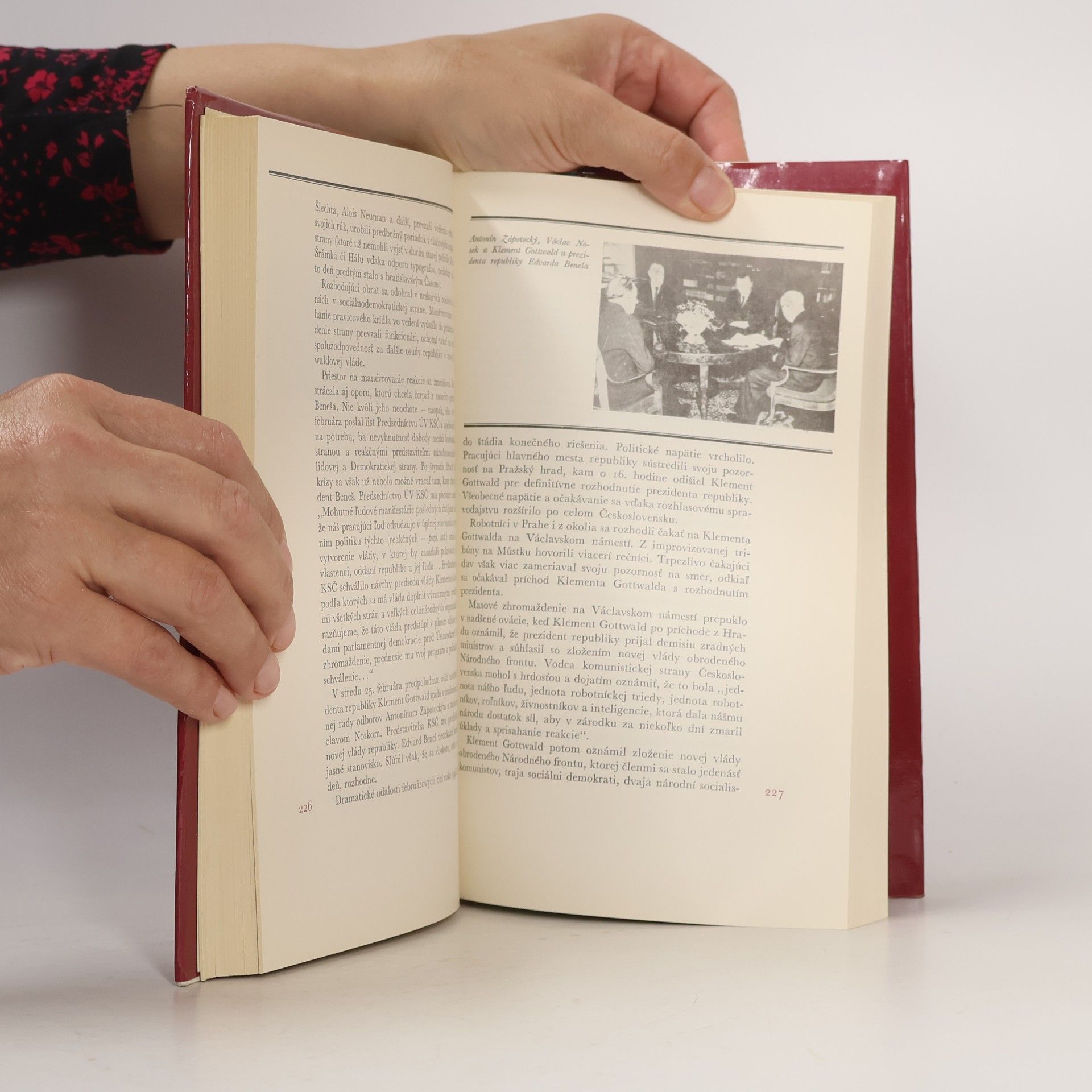 Viliam Plevza História československej súčasnosti