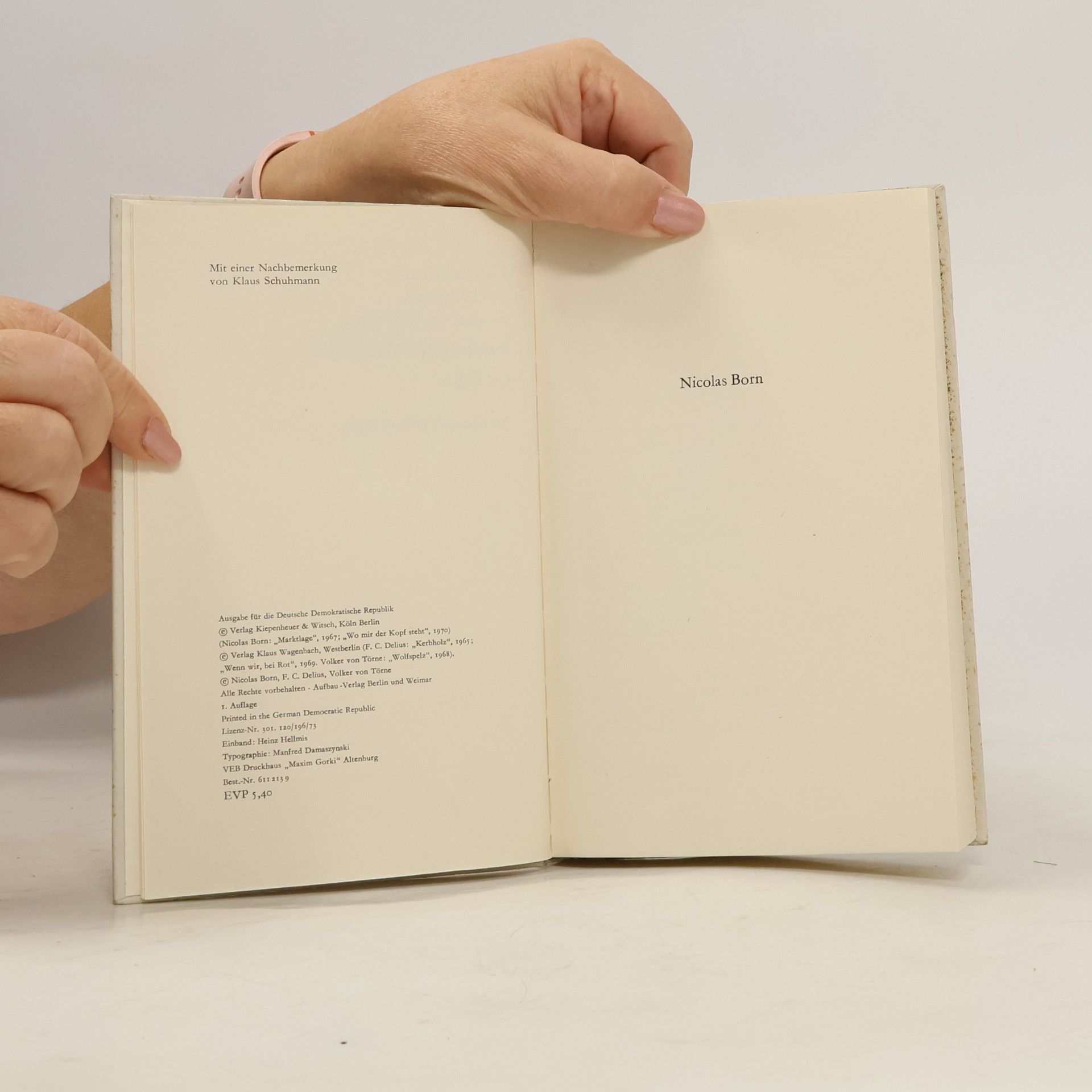 Friedrich Christian Delius Rezepte für Friedenszeiten