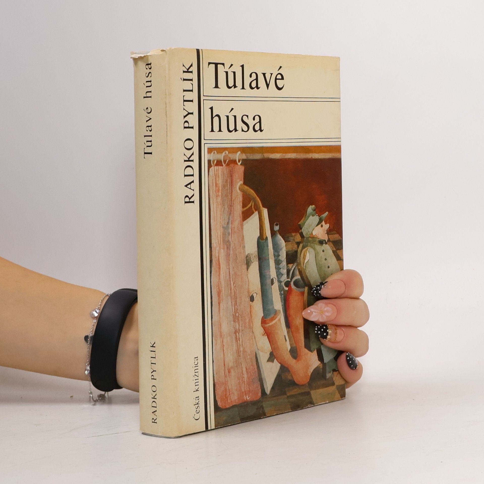 Radko Pytlík Túlavé húsa