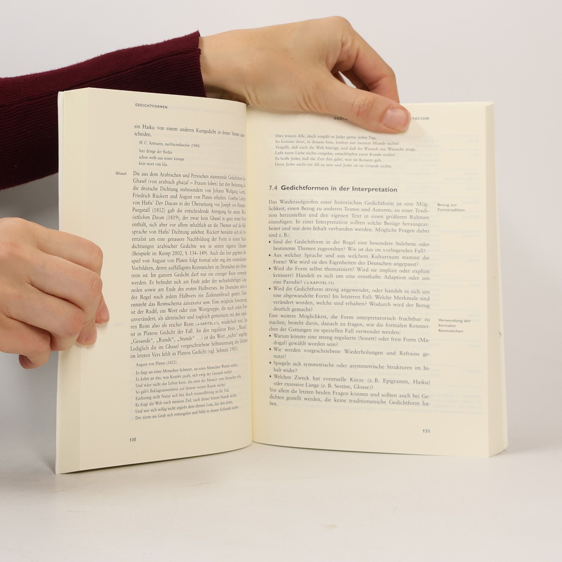 Kristin Felsner Arbeitsbuch Lyrik