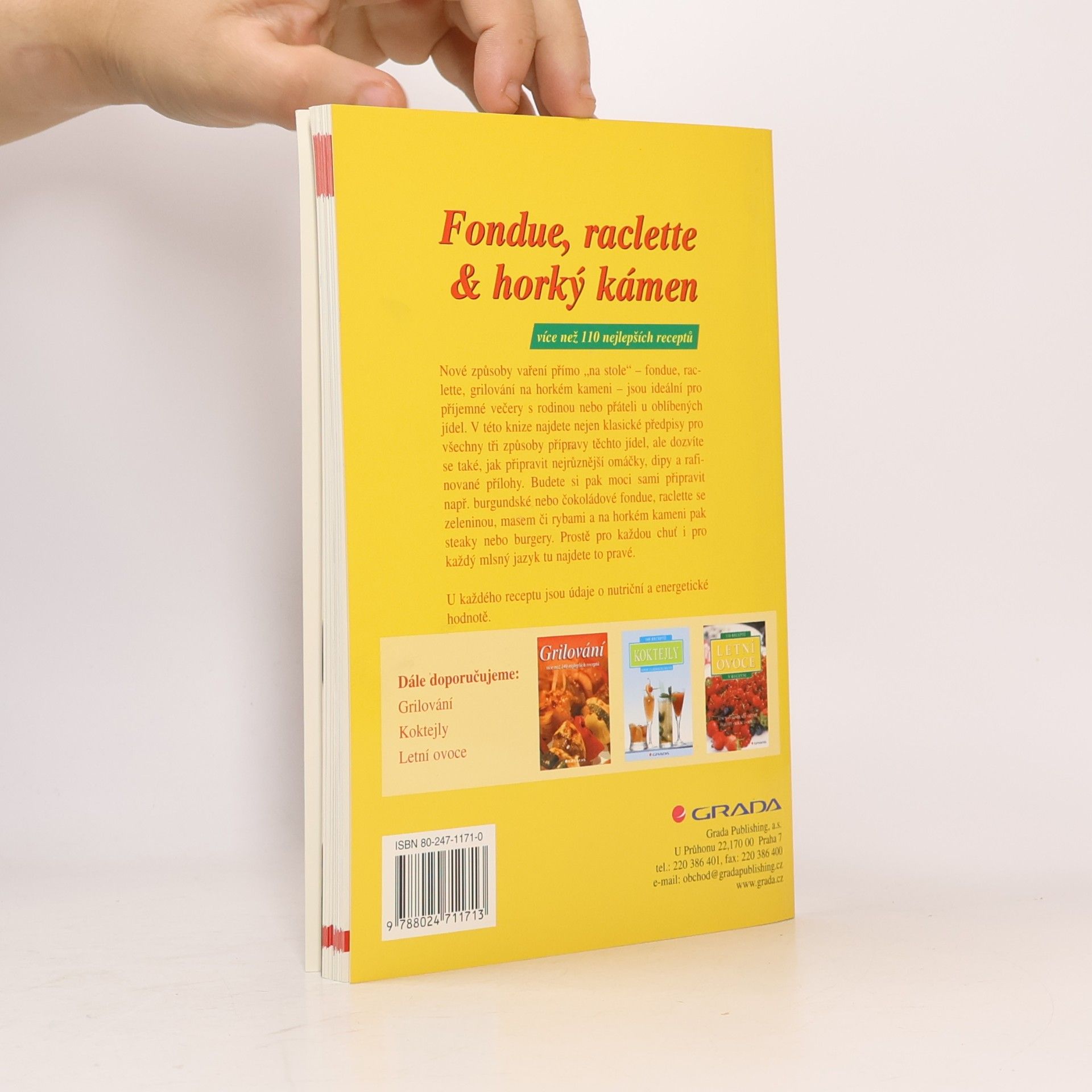 Autorenkollektiv Fondue, raclette & horký kámen. Více než 110 nejlepších receptů