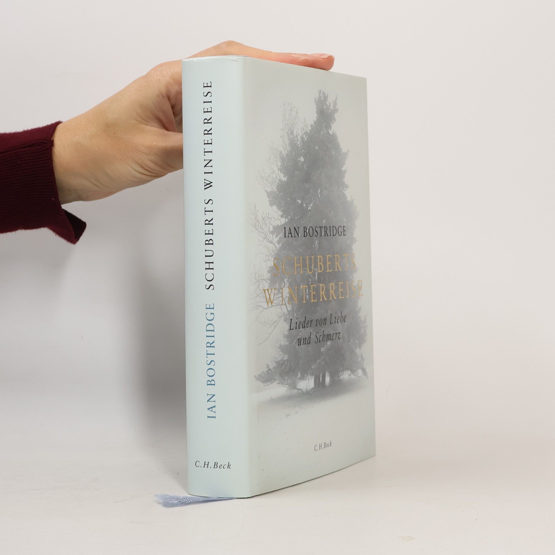 Ian Bostridge Schuberts Winterreise