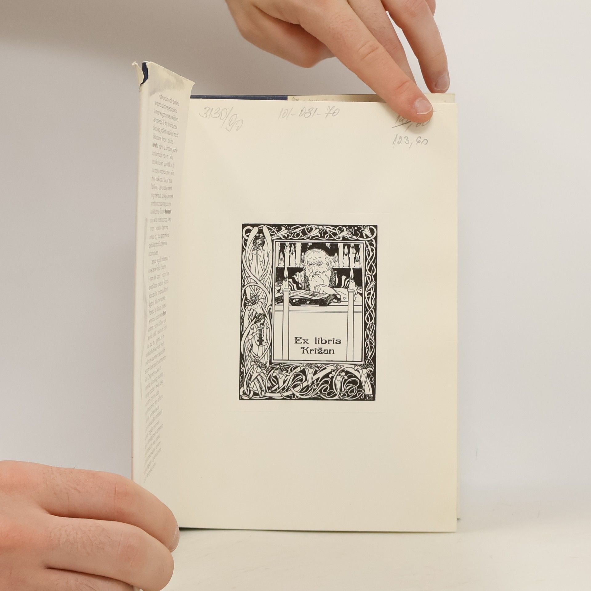 Branko Horvat Kosovsko pitanje (Plava biblioteka)