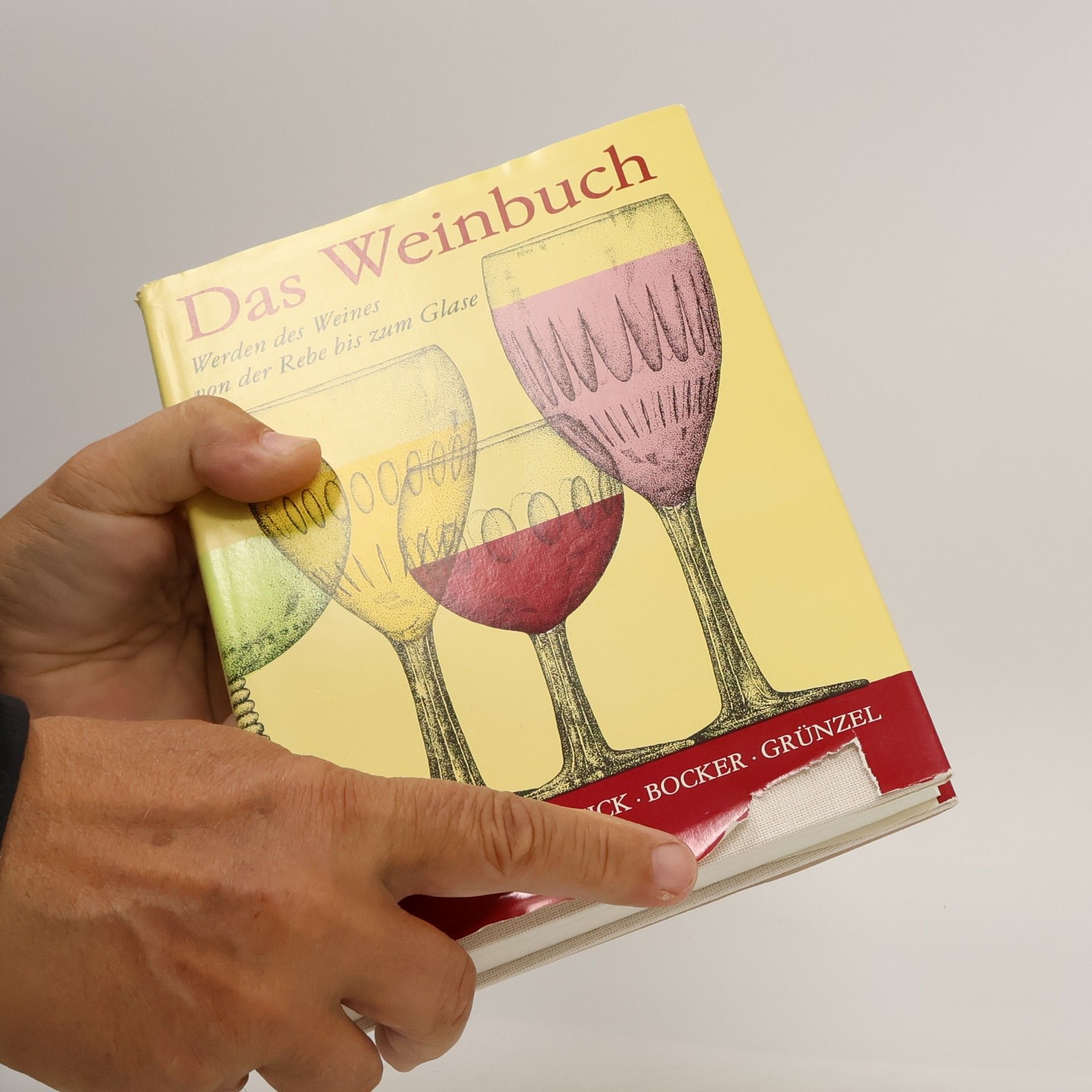 Friedrich Gollmick Das Weinbuch