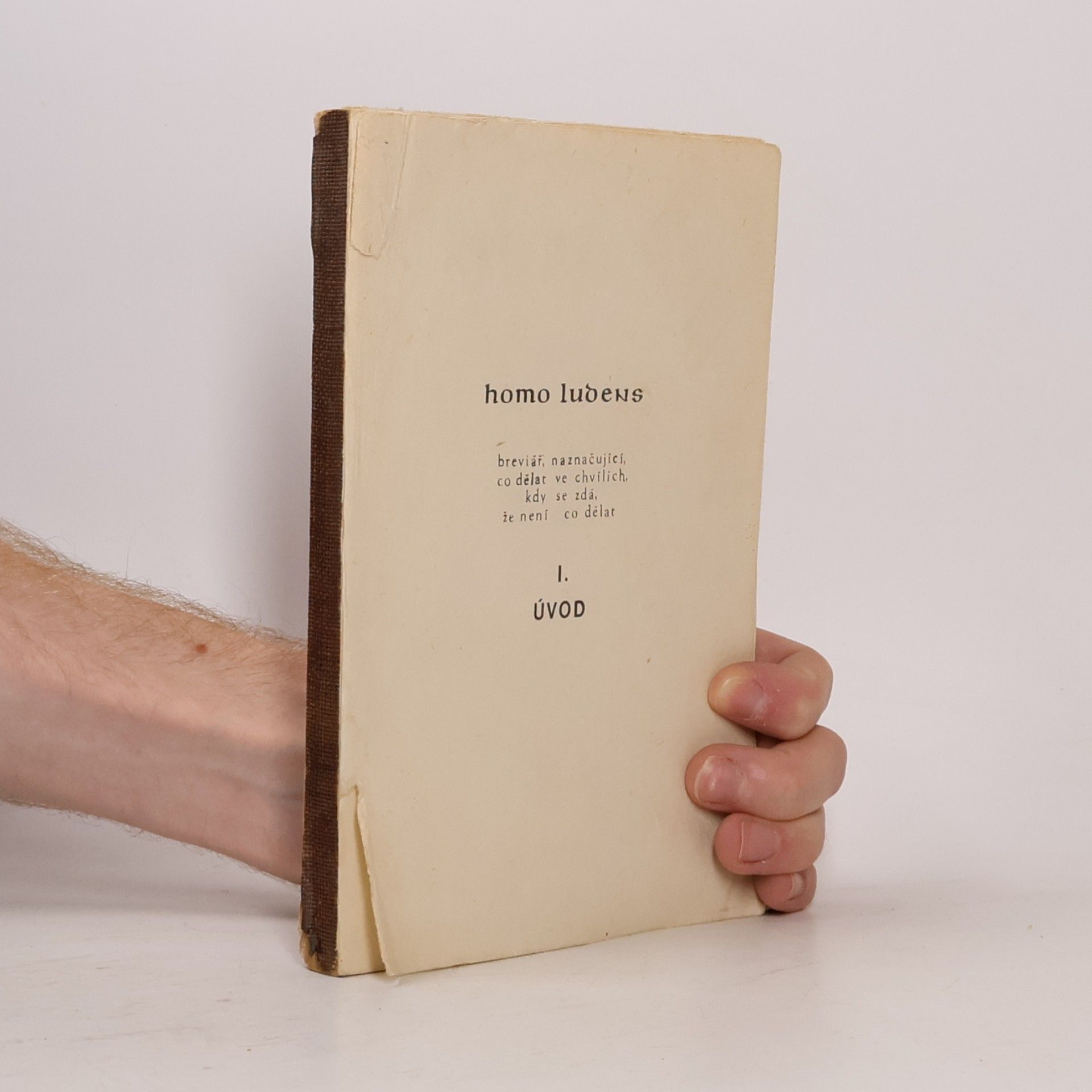 Aleš Ptáček Homo ludens I.