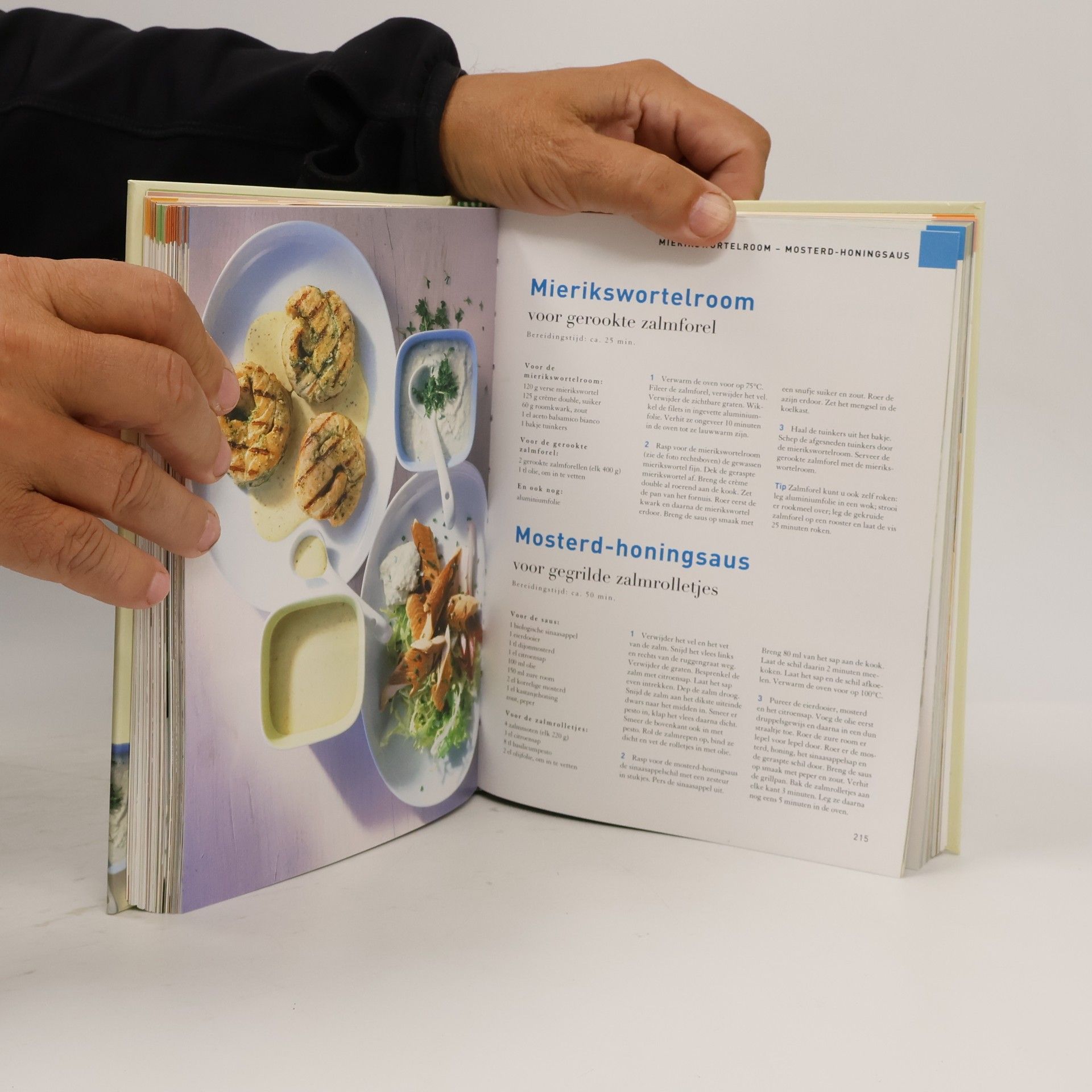 Studio Teubner Groot handboek sauzen