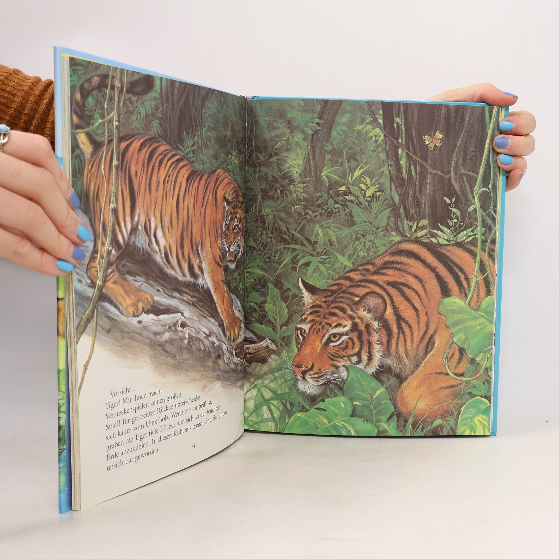 Collectif d'auteurs Mein buntes Tierbuch