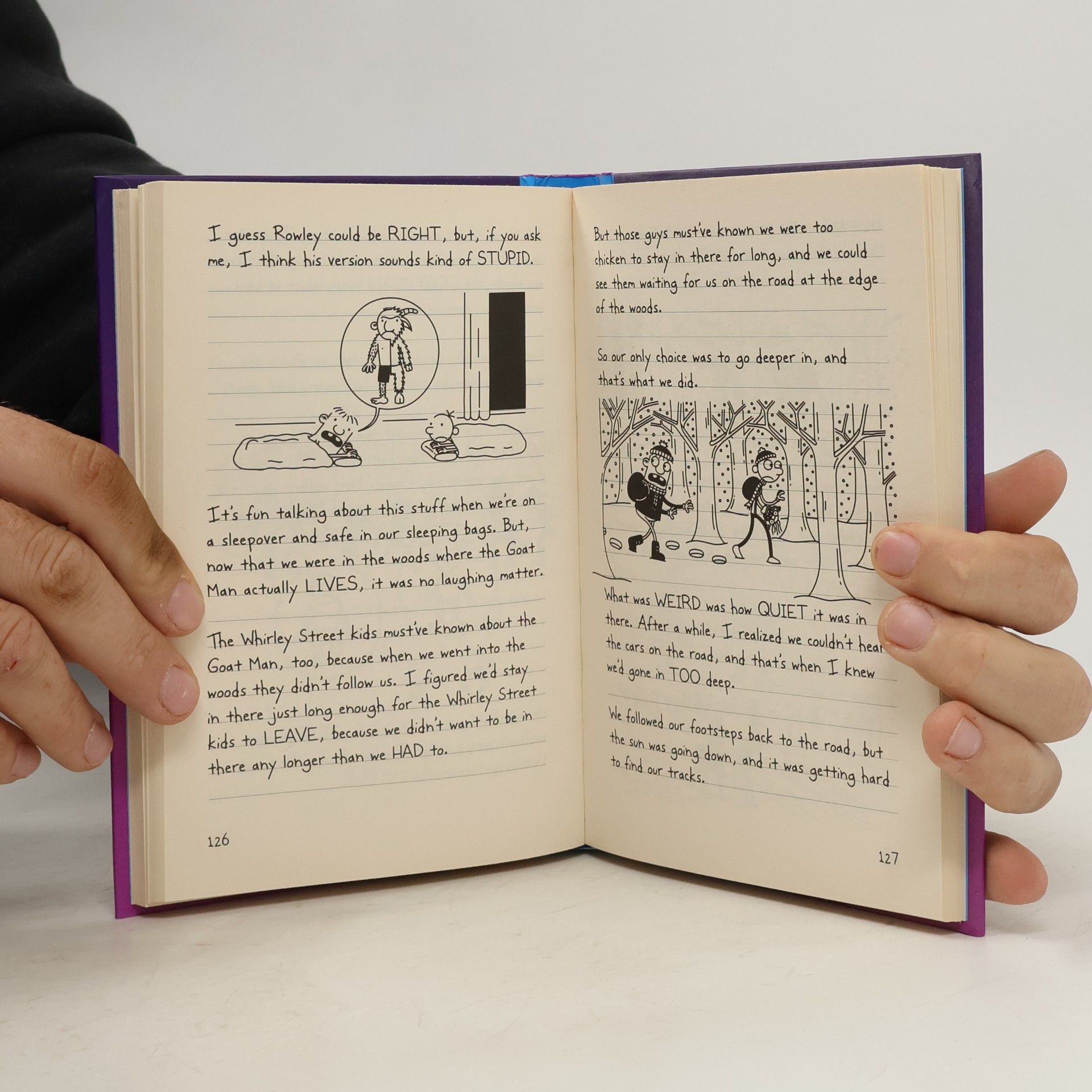 Jeff Kinney Diary of a Wimpy Kid. The meltdown
