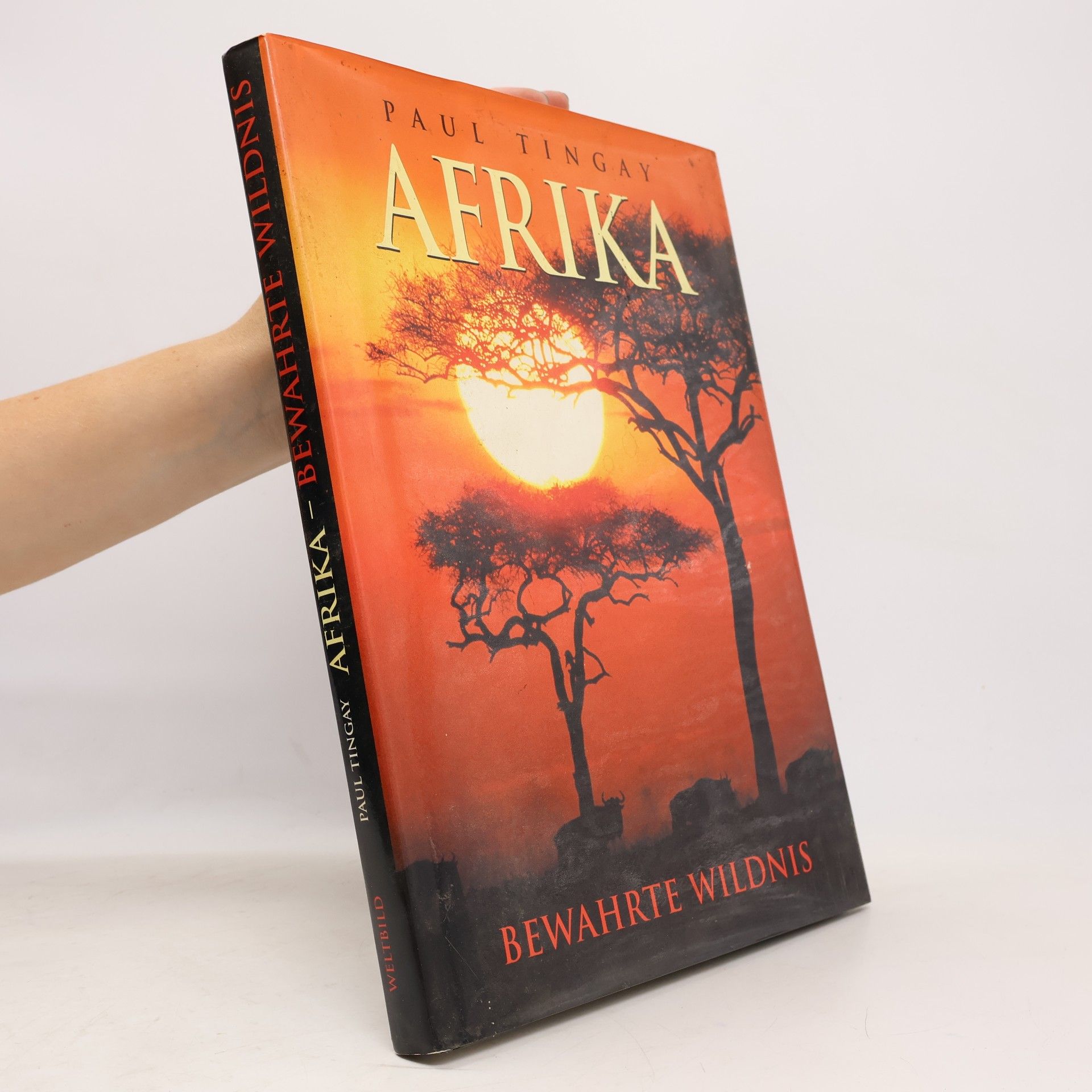Paul Tingay Afrika
