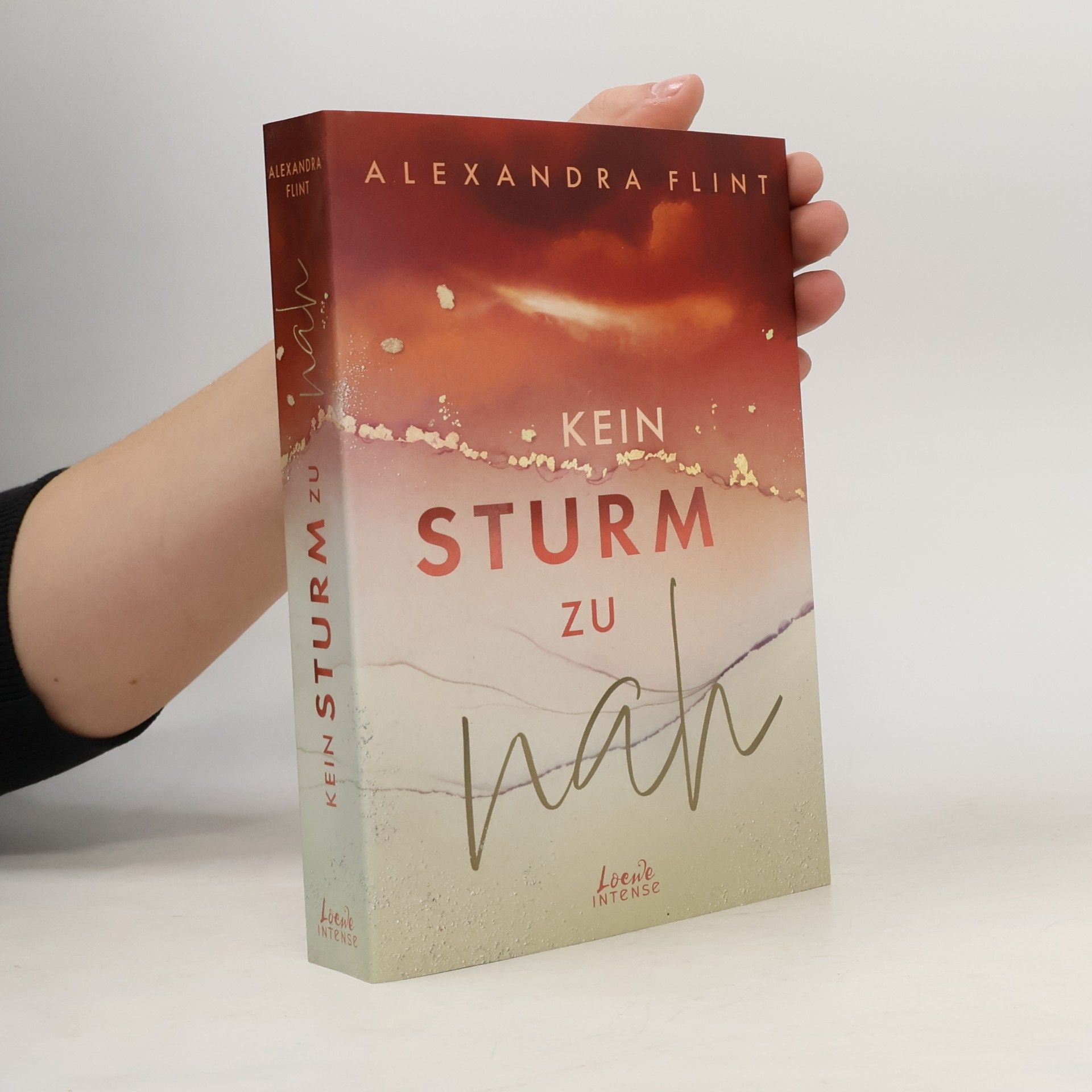 Alexandra Flint Kein Sturm zu nah (Tales of Sylt, Band 2)