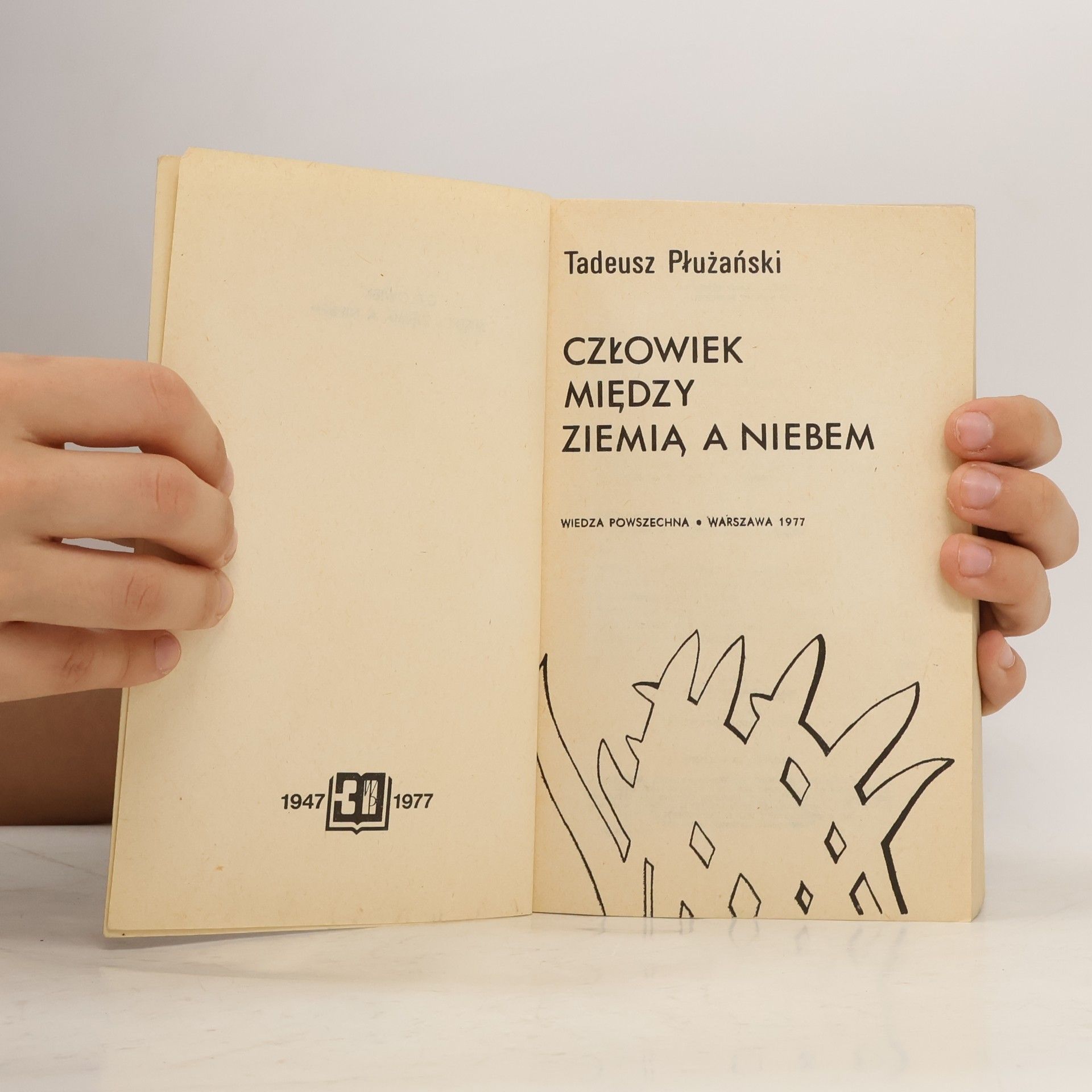 Płużański Tadeusz M. Człowiek między ziemią a niebem