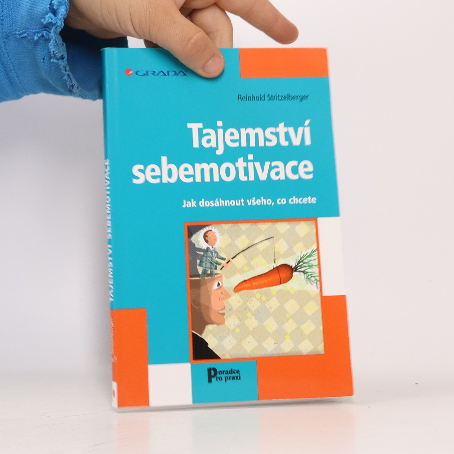 Reinhold Stritzelberger Tajemství sebemotivace. Jak dosáhnout všeho, co chcete