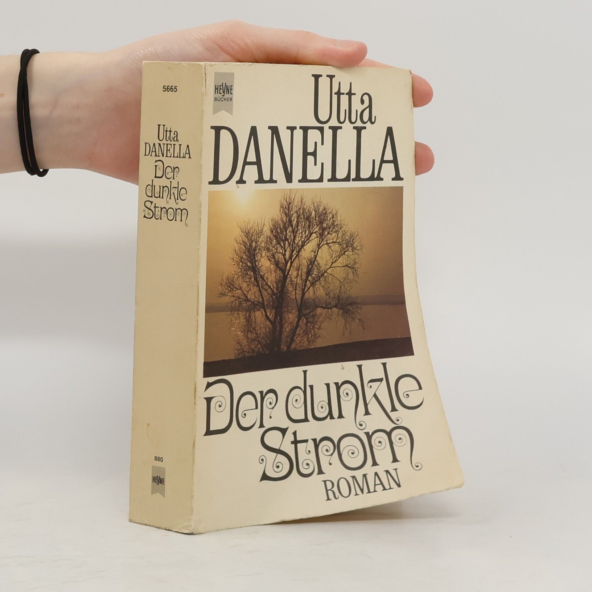 Der dunkle Strom