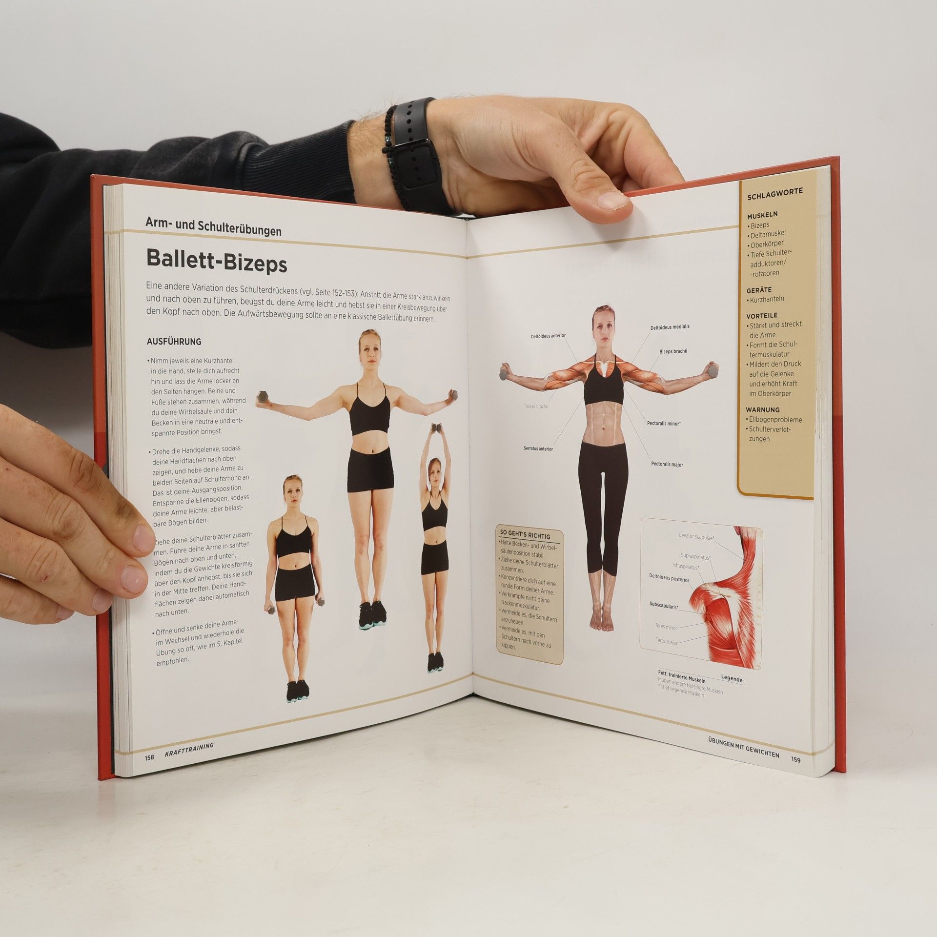 Hollis Liebman Krafttraining