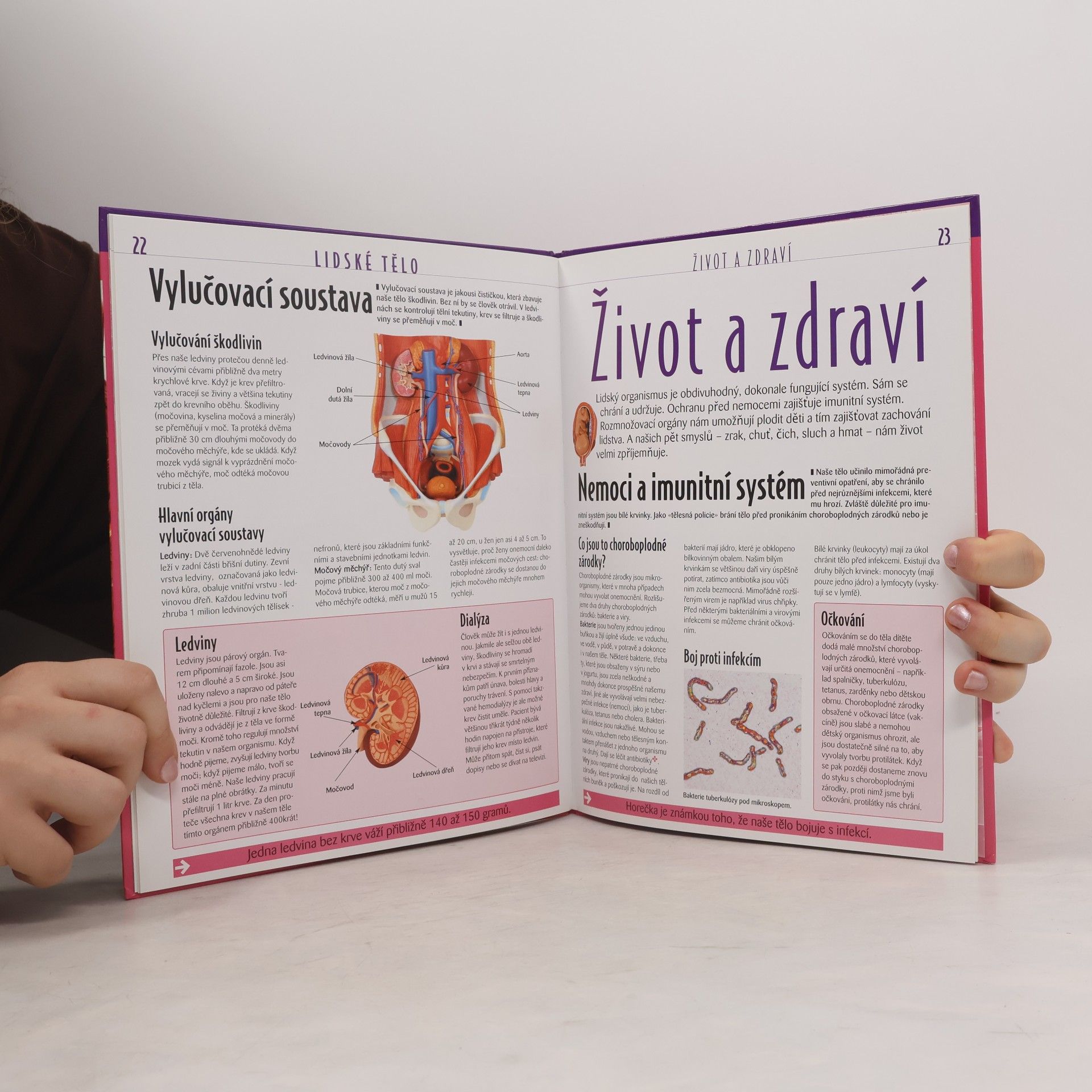 Autorenkollektiv Atlas pro mládež. Lidské tělo