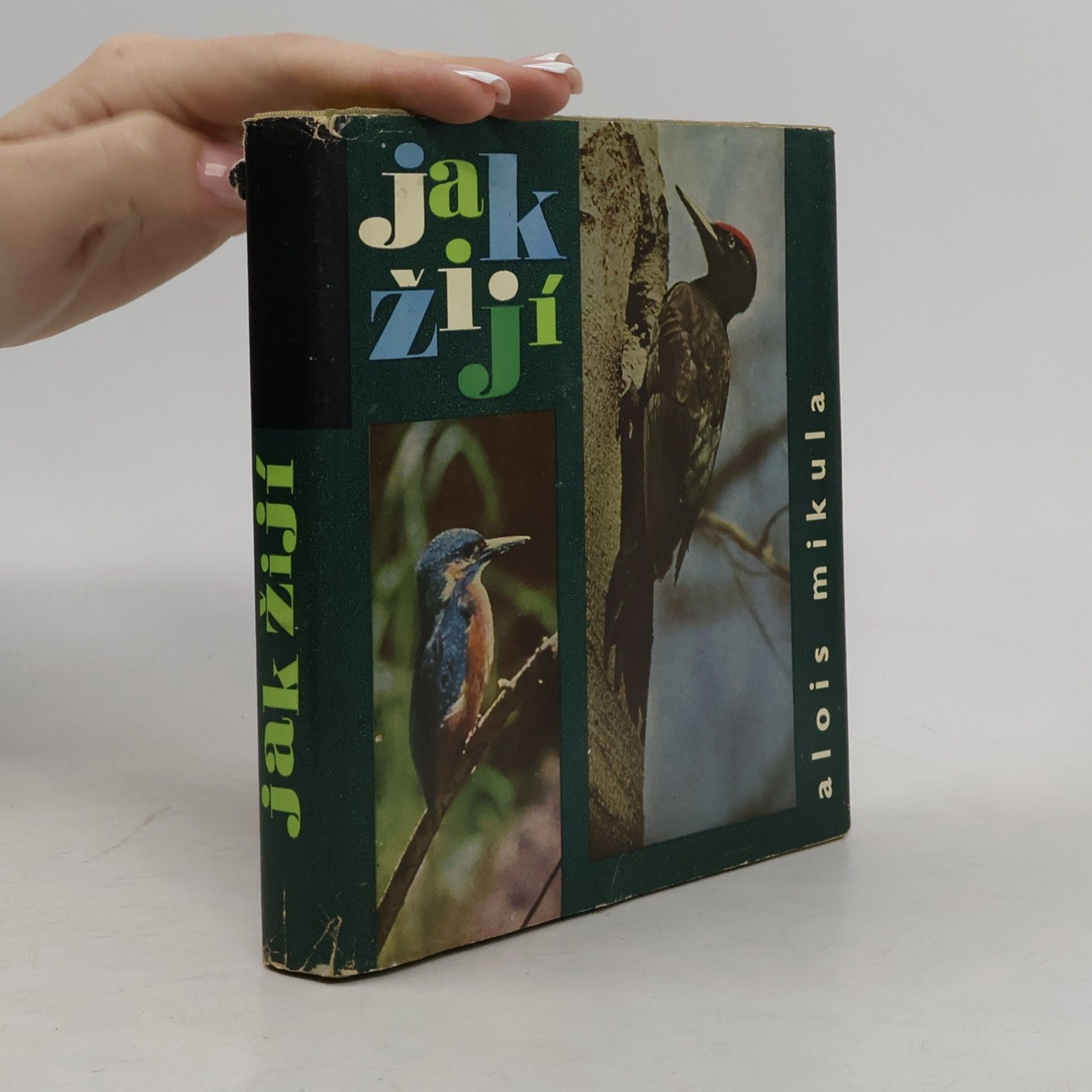 Alois Mikula Jak žijí