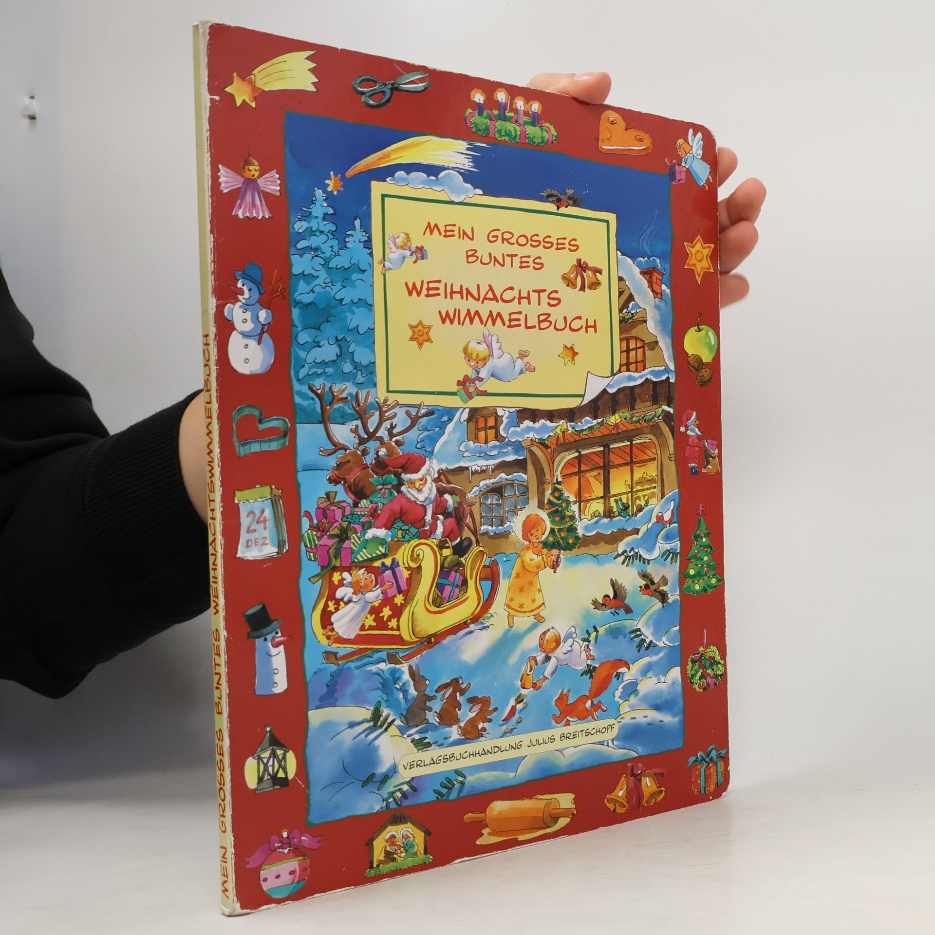 Kolektív autorov Mein grosses Weihnachtswimmelbuch