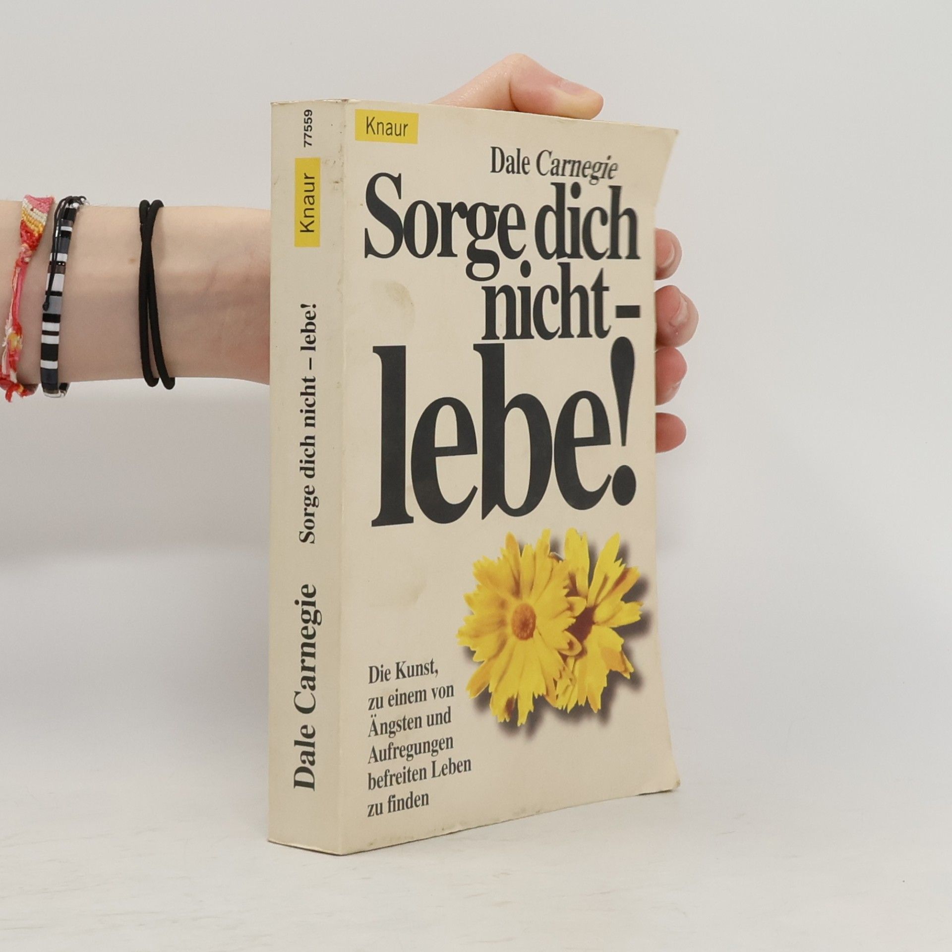 Dale Carnegie Sorge dich nicht - lebe!