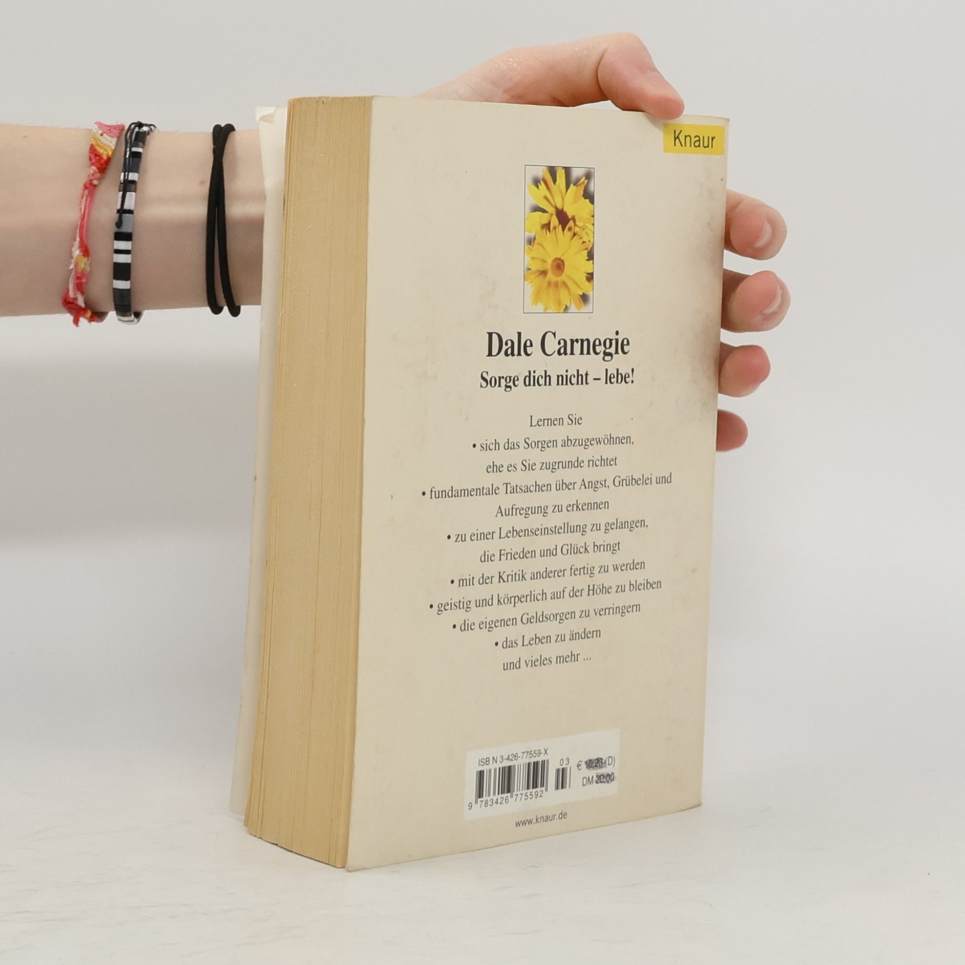 Dale Carnegie Sorge dich nicht - lebe!
