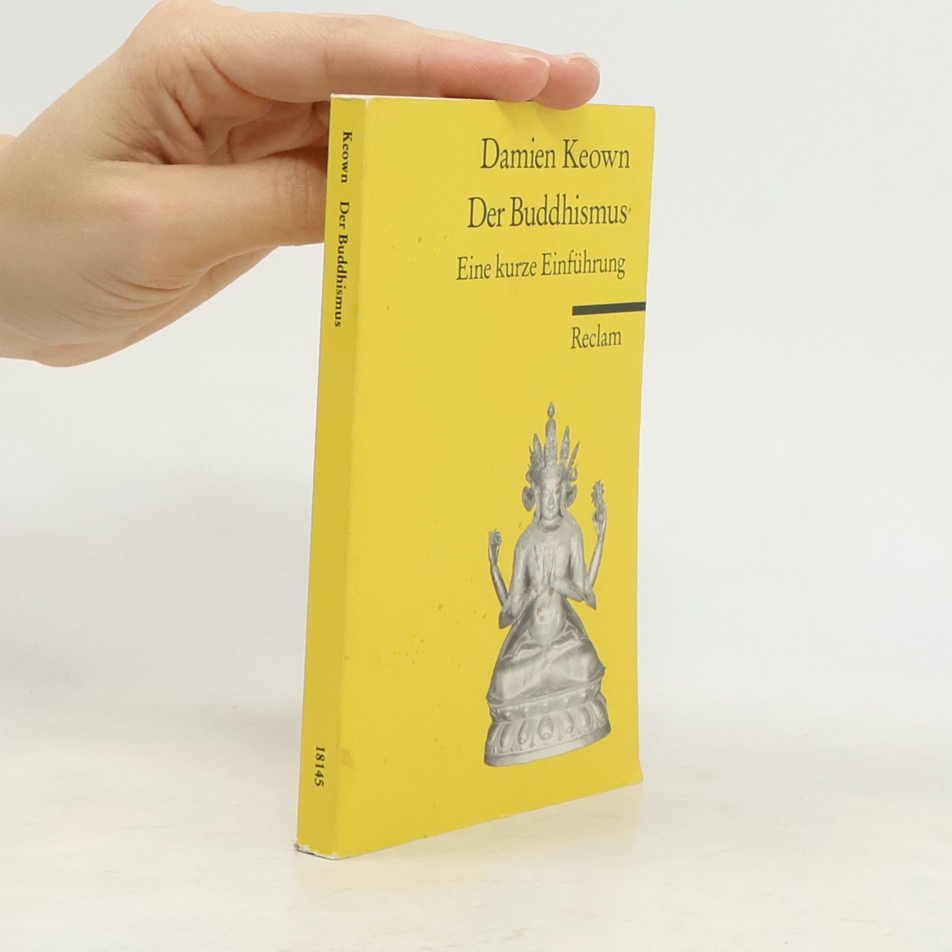 Damien Keown Der Buddhismus